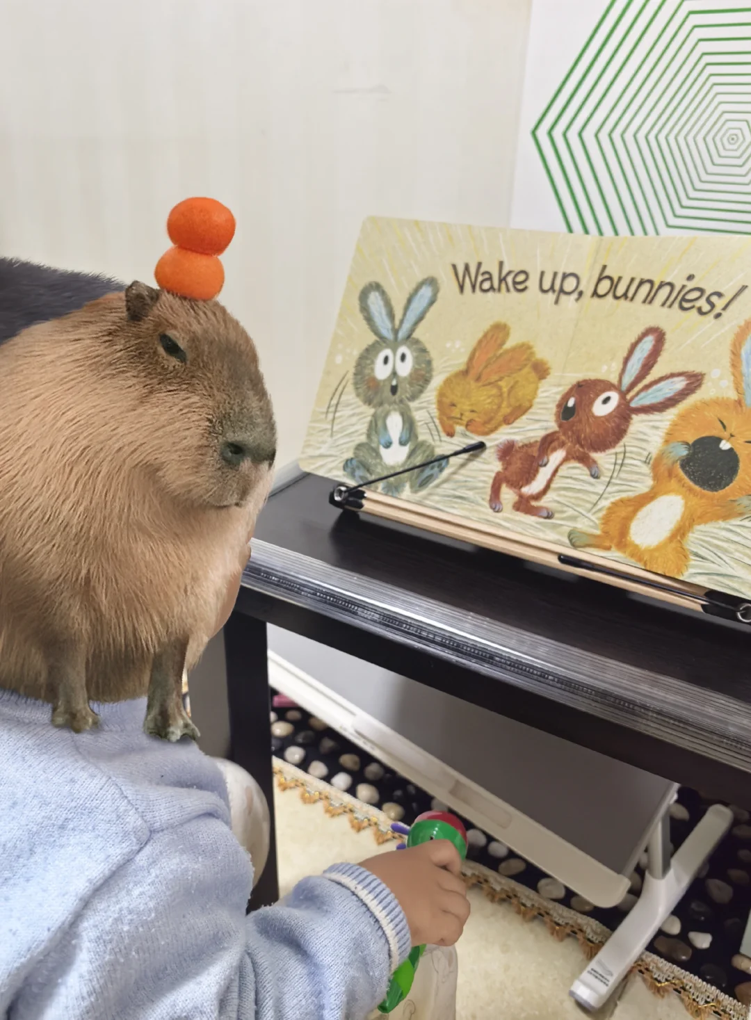 毛毛虫彩虹兔——贵有贵的道理～