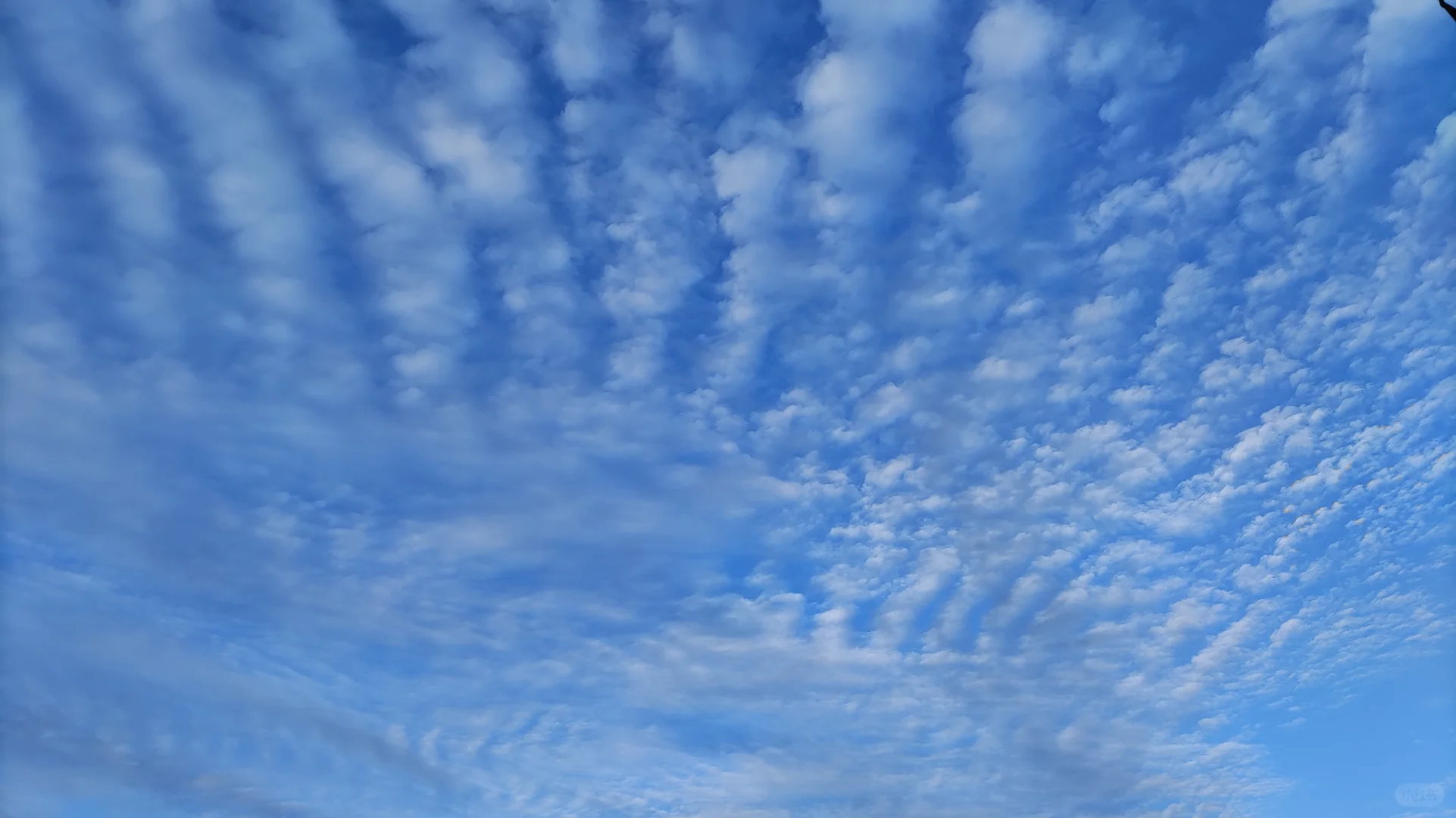 经典民谣弹唱100首！