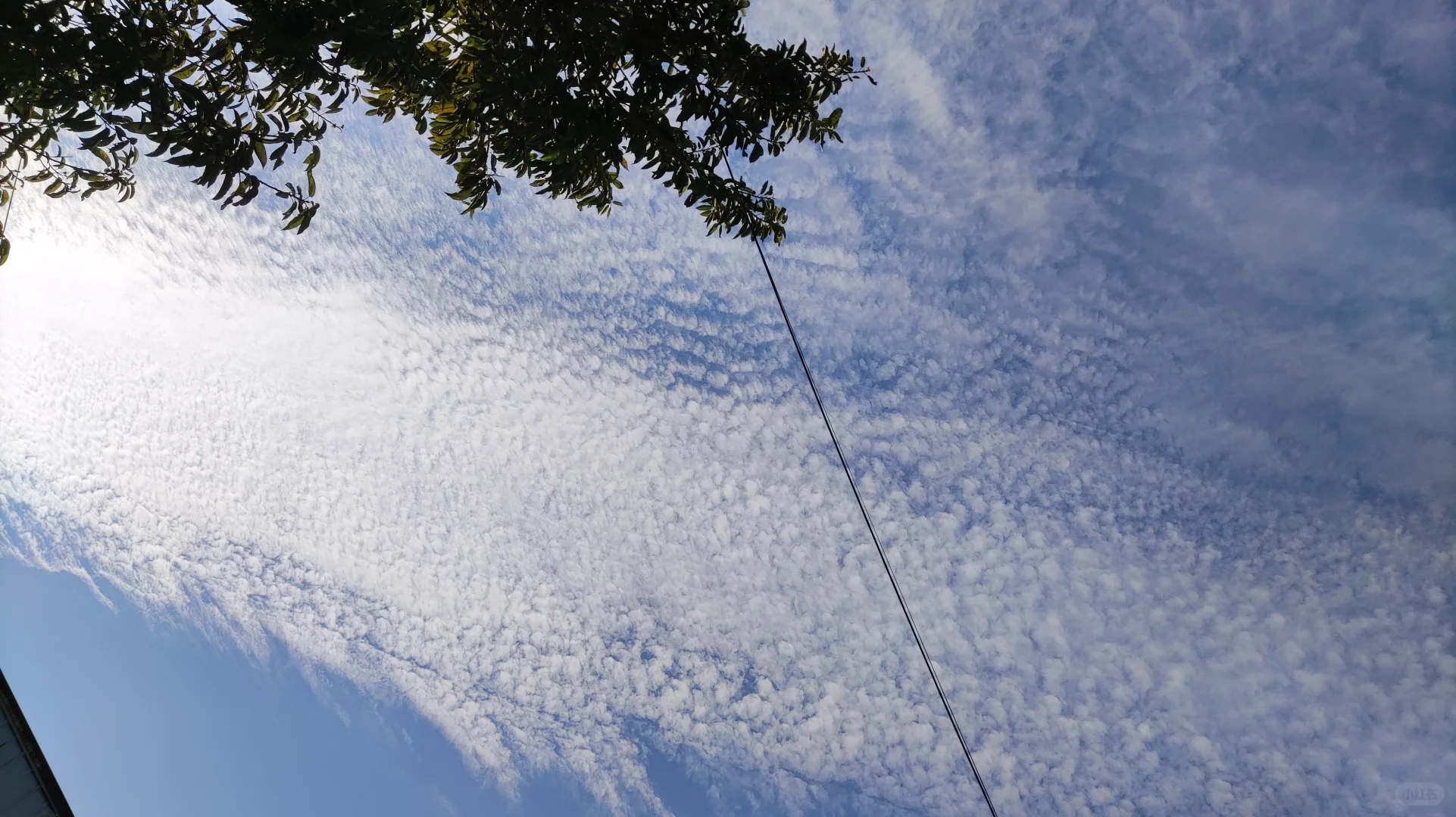 经典民谣弹唱100首！