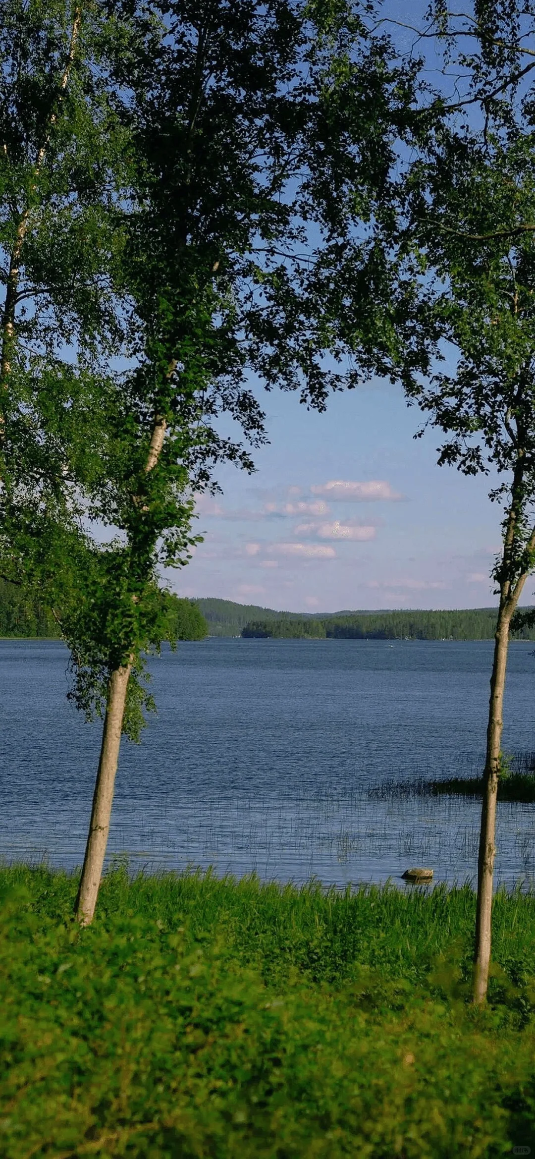慵懒感100%‼️旋律超顶丨欧美丨soul丨氛围