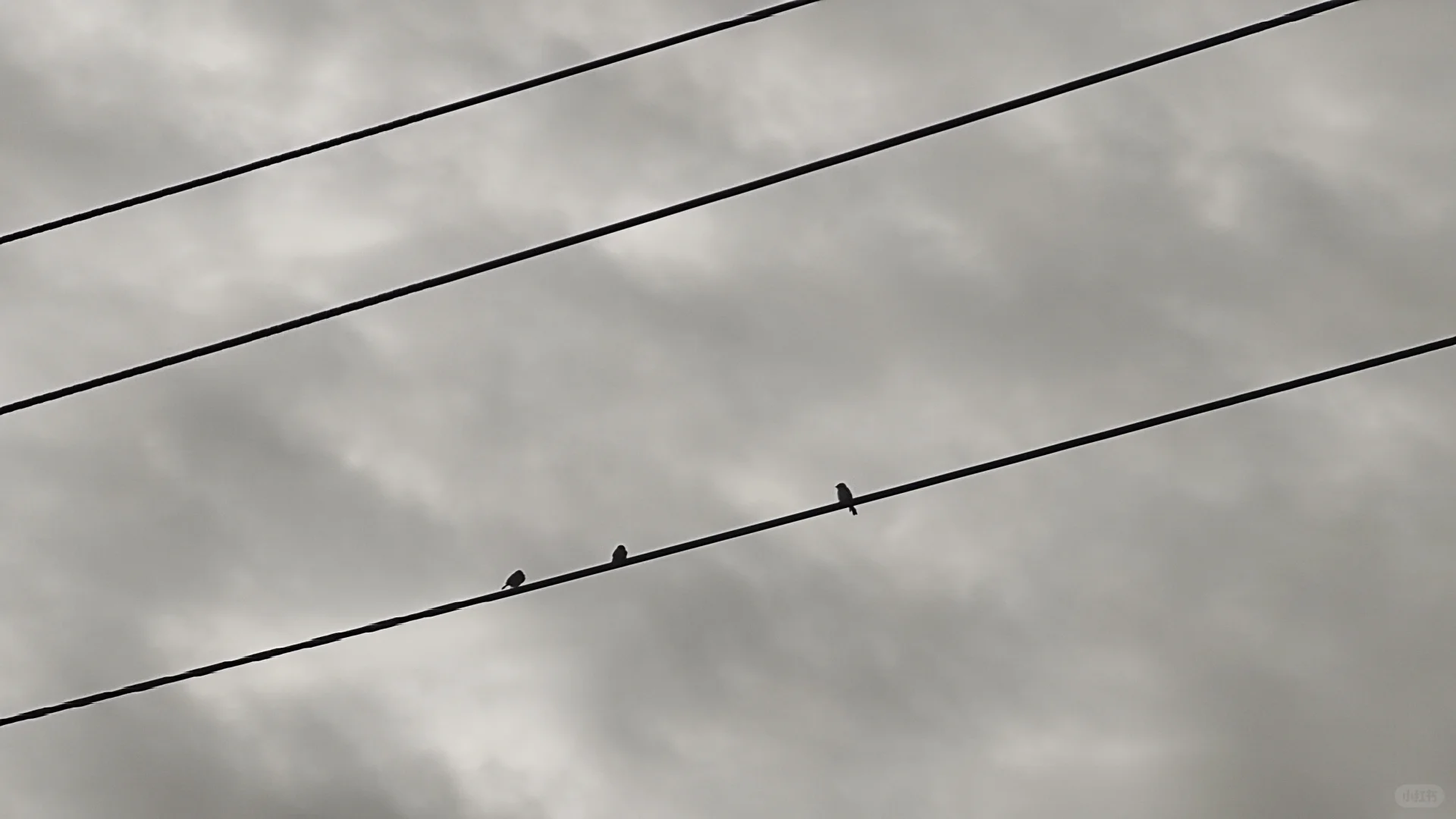 经典民谣弹唱100首！