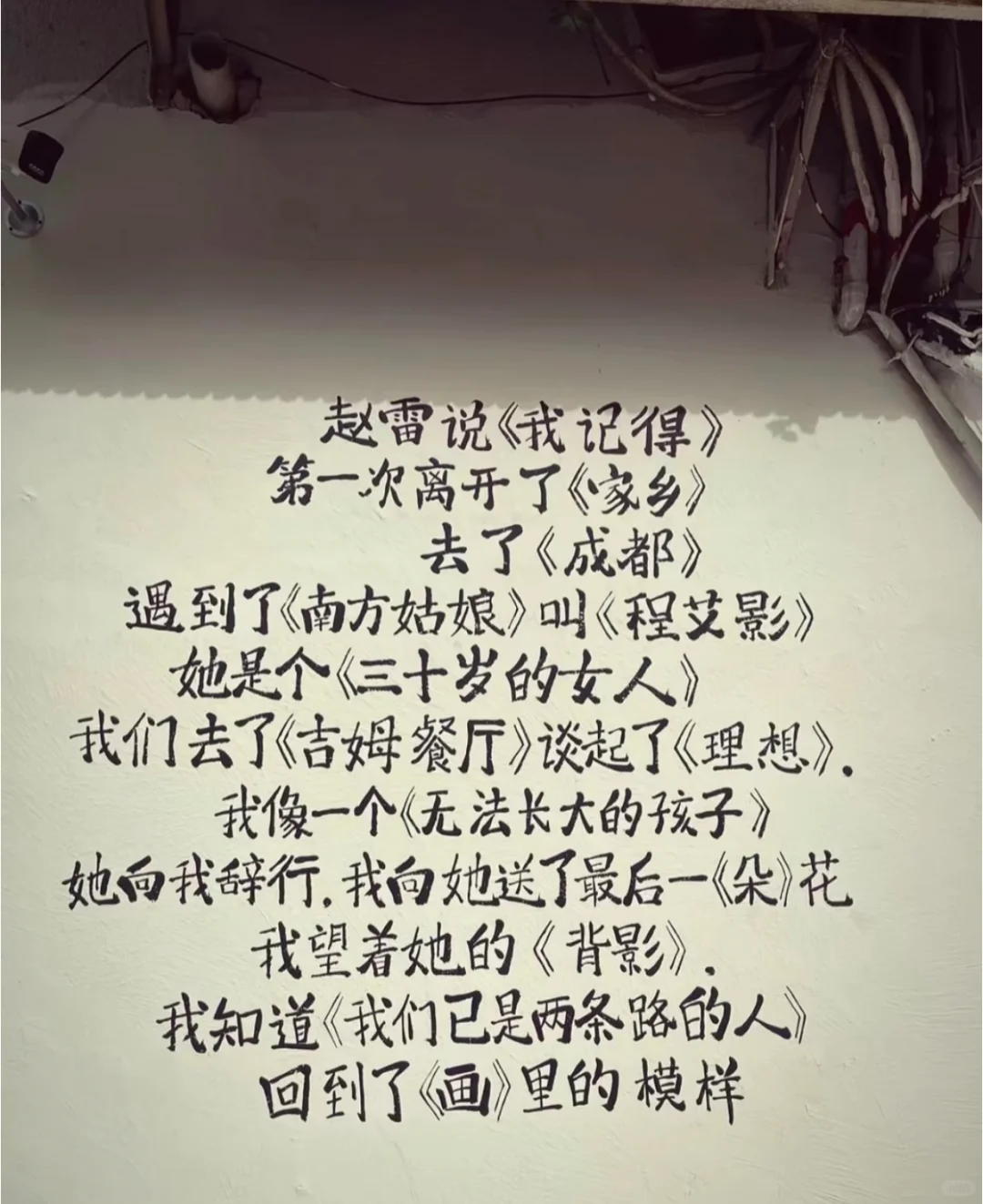 如果你也听赵雷。