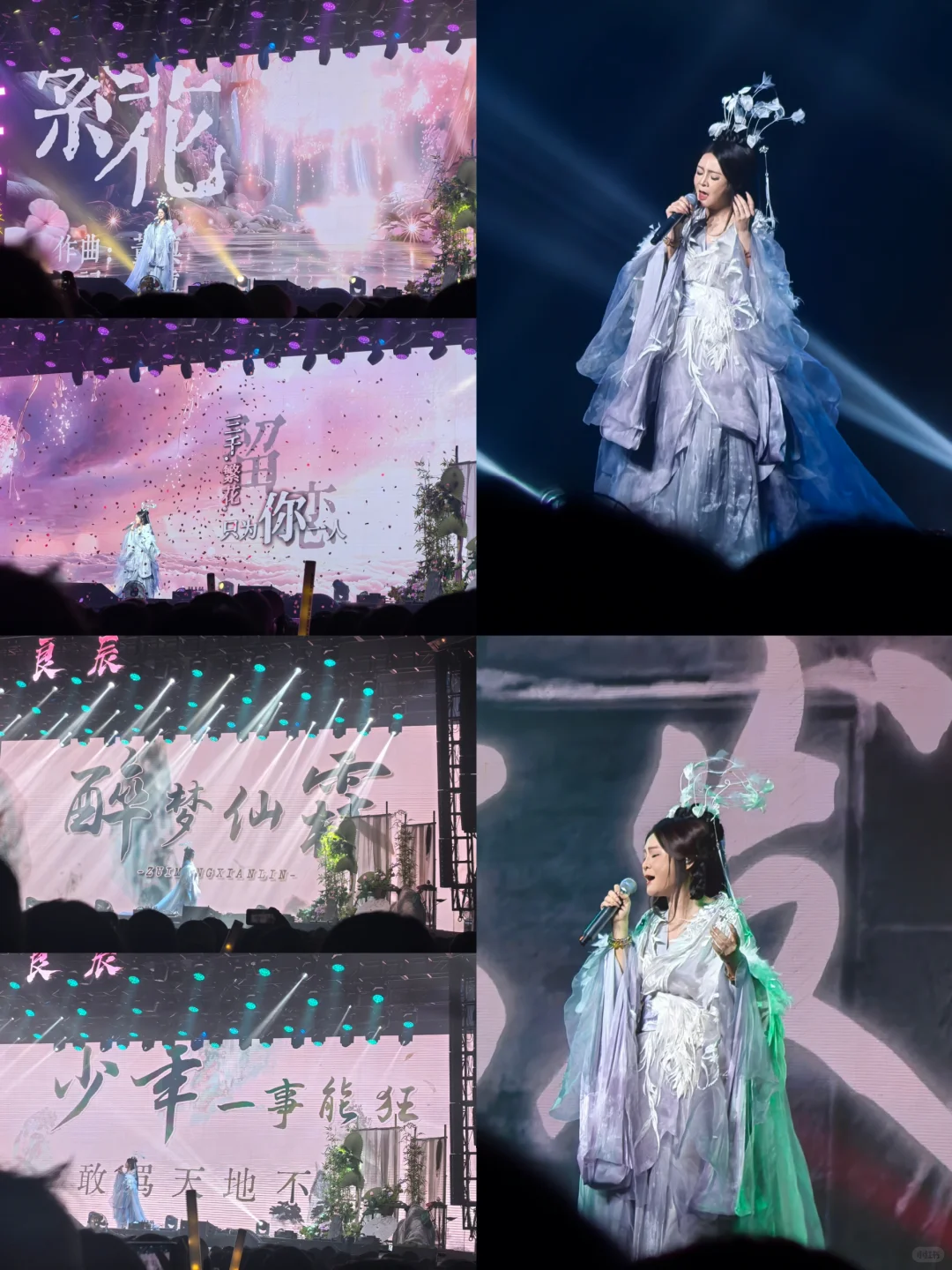 撞进人间「良辰」夜