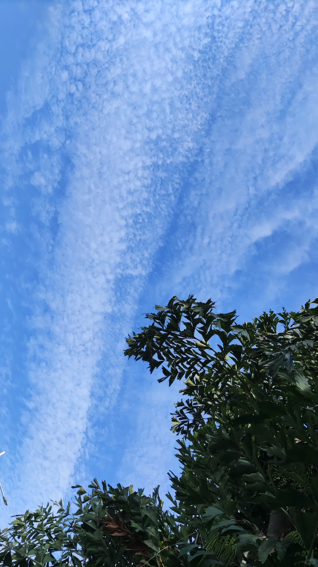 经典民谣弹唱100首！