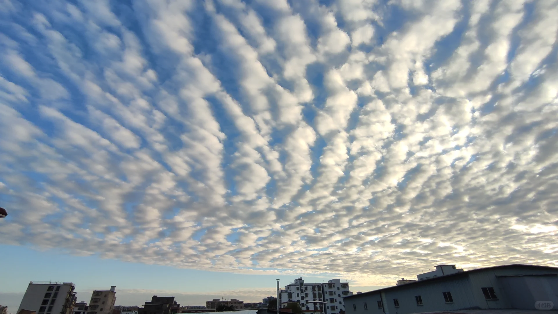 经典民谣弹唱100首！