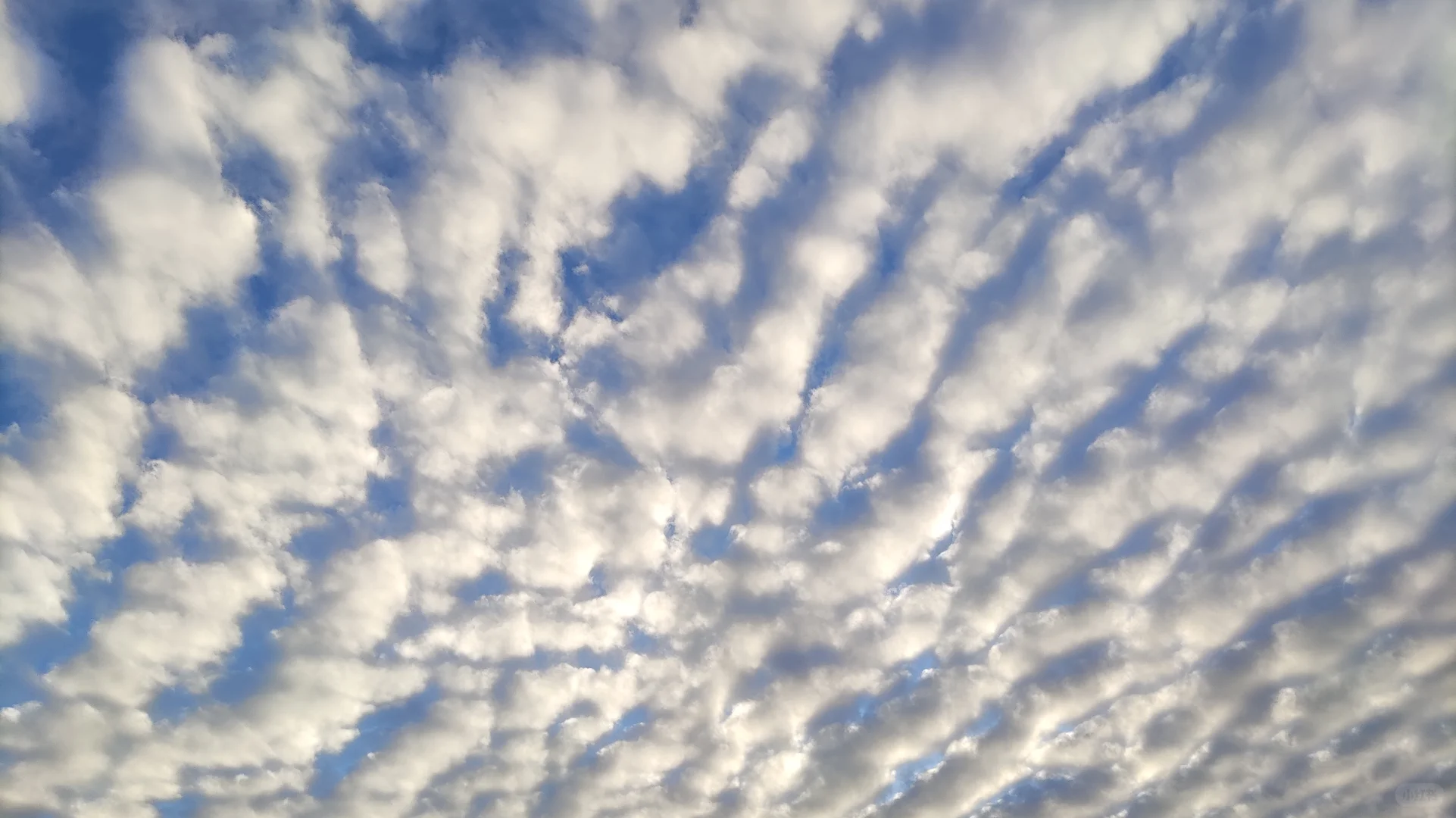 经典民谣弹唱100首！