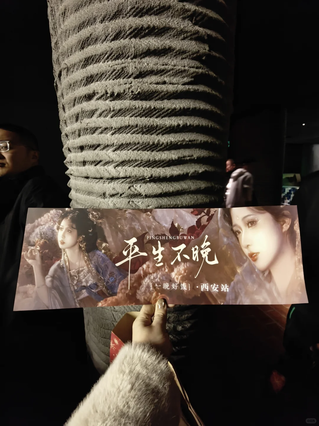 第一次追国风歌手，平生不晚