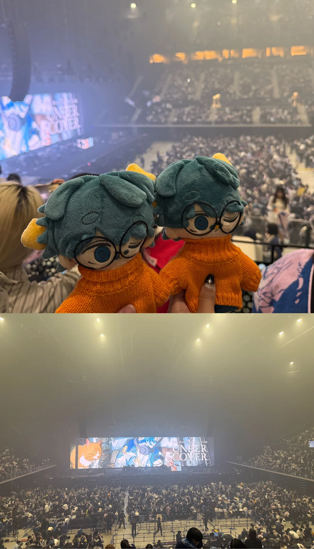 Anniversary live undercover kobe