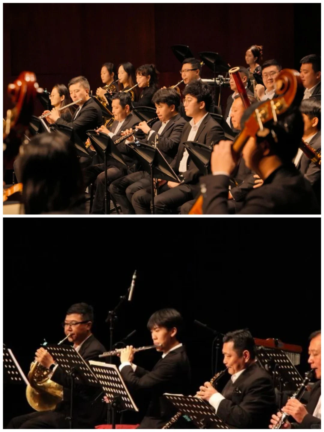 亲子新年音乐会上海站～