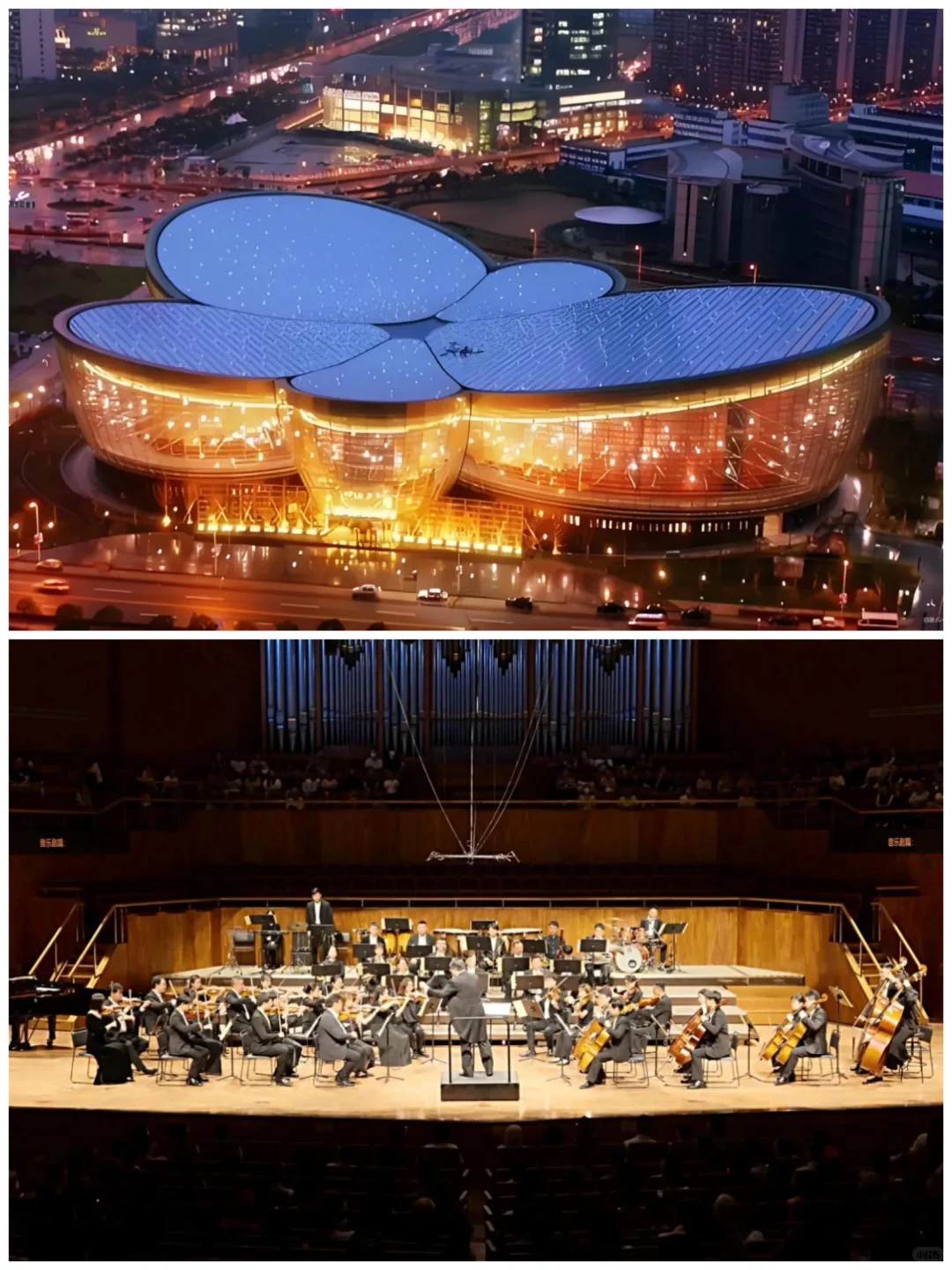 亲子新年音乐会上海站～