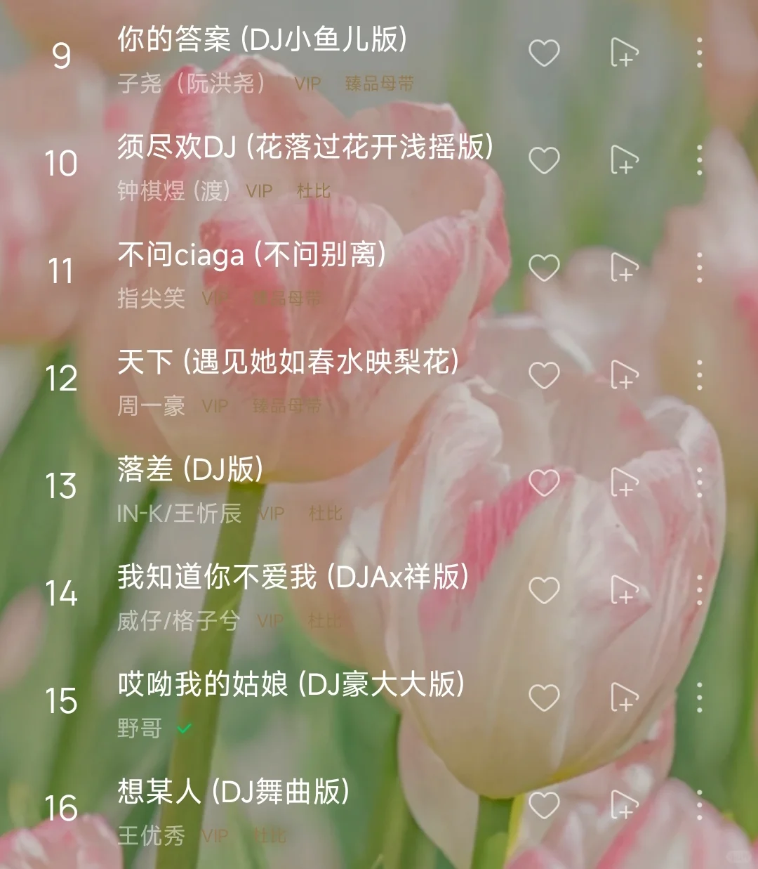 歌单分享 l 抖音最火DJ嗨曲 开车必备歌单