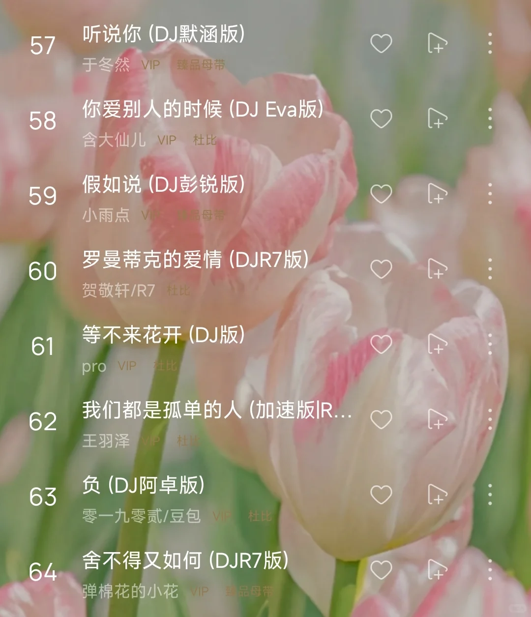 歌单分享 l 抖音最火DJ嗨曲 开车必备歌单