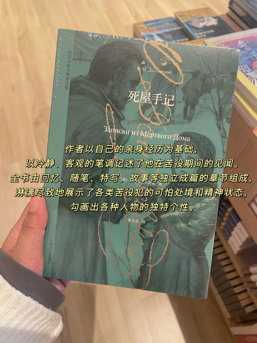 2025年度书单|读书让我看到了全新的世界