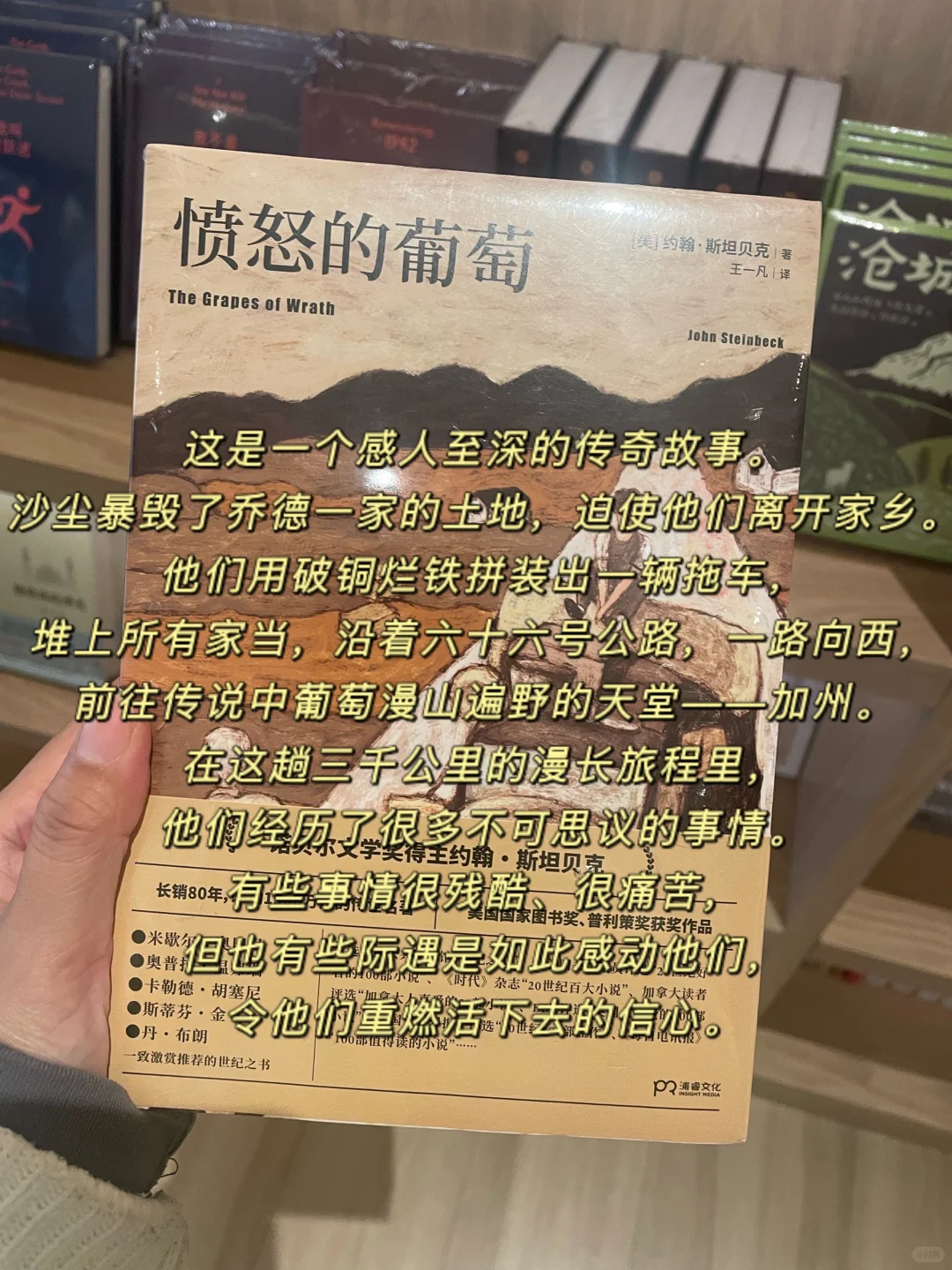 2025年度书单|读书让我看到了全新的世界