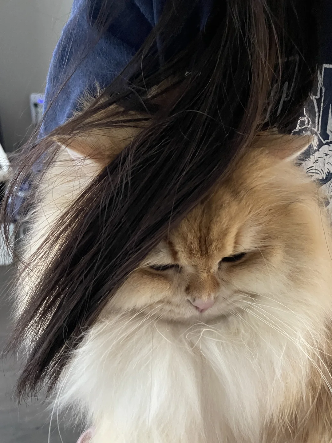 华语乐坛经典大赏