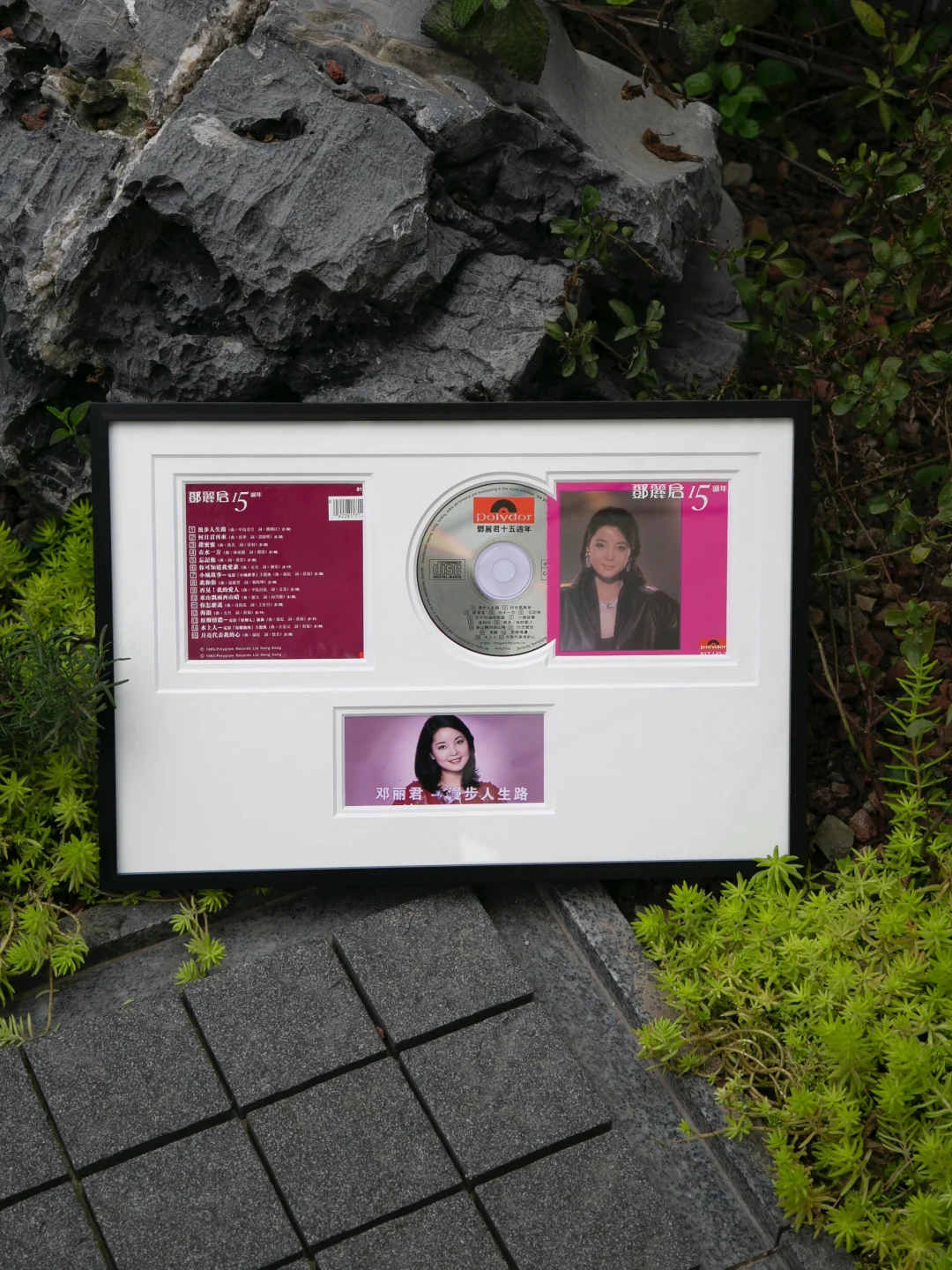 华语乐坛歌后!一个全球华人都熟悉的名字