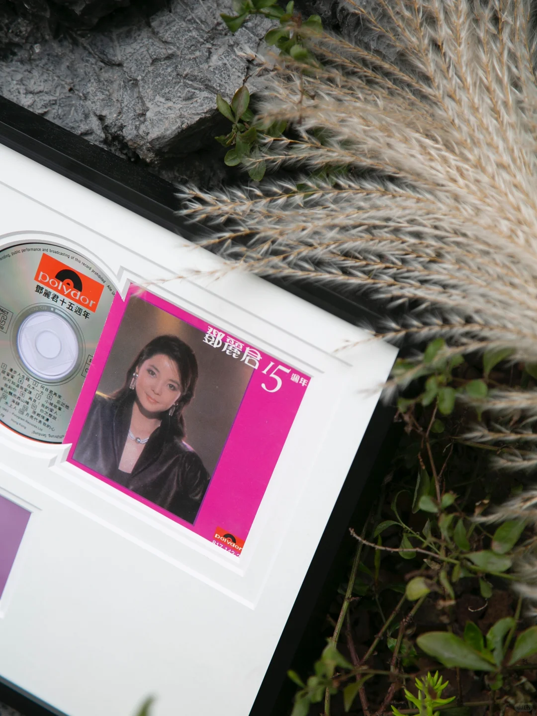 华语乐坛歌后!一个全球华人都熟悉的名字