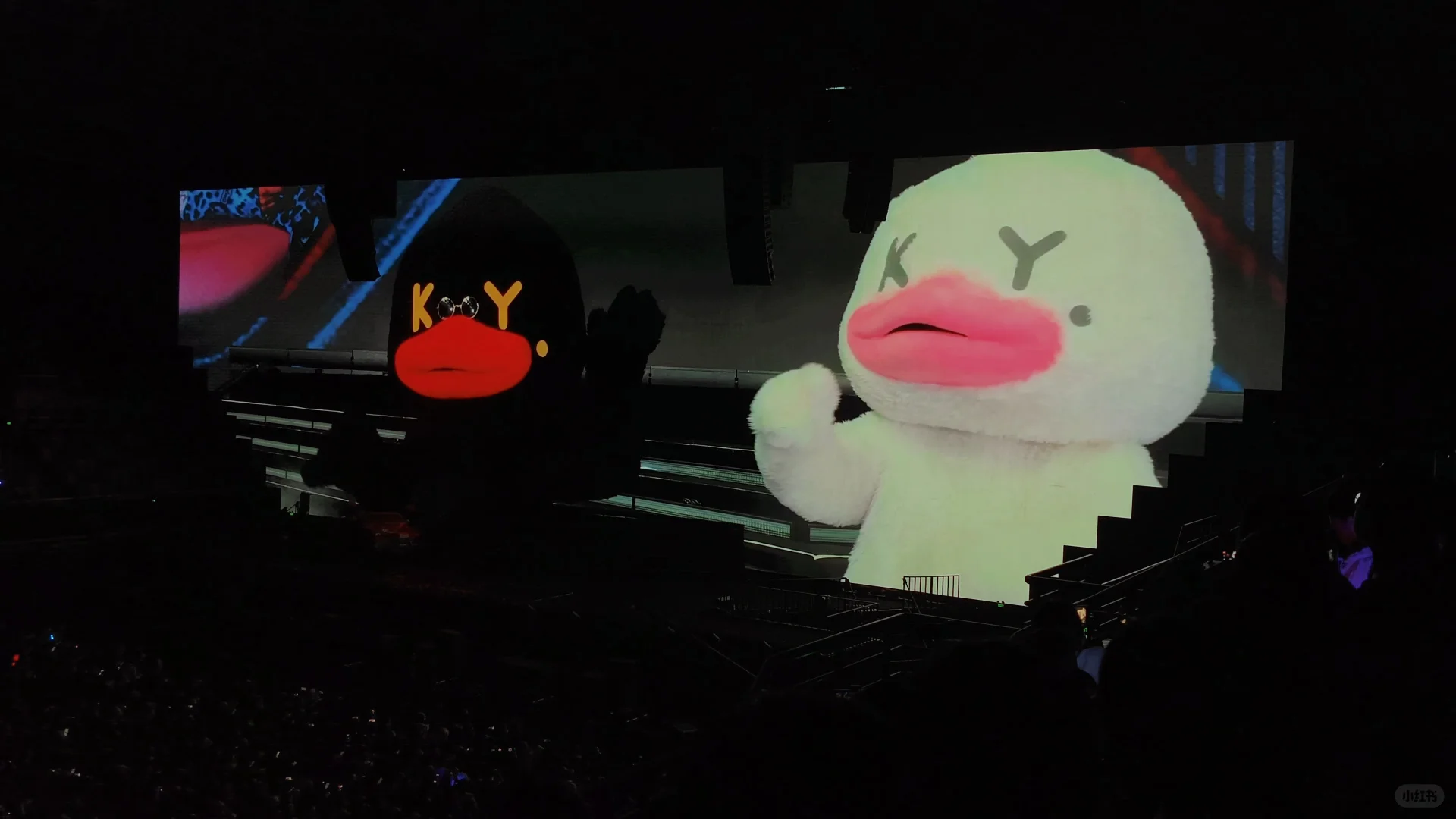 特别快乐的一天🥰