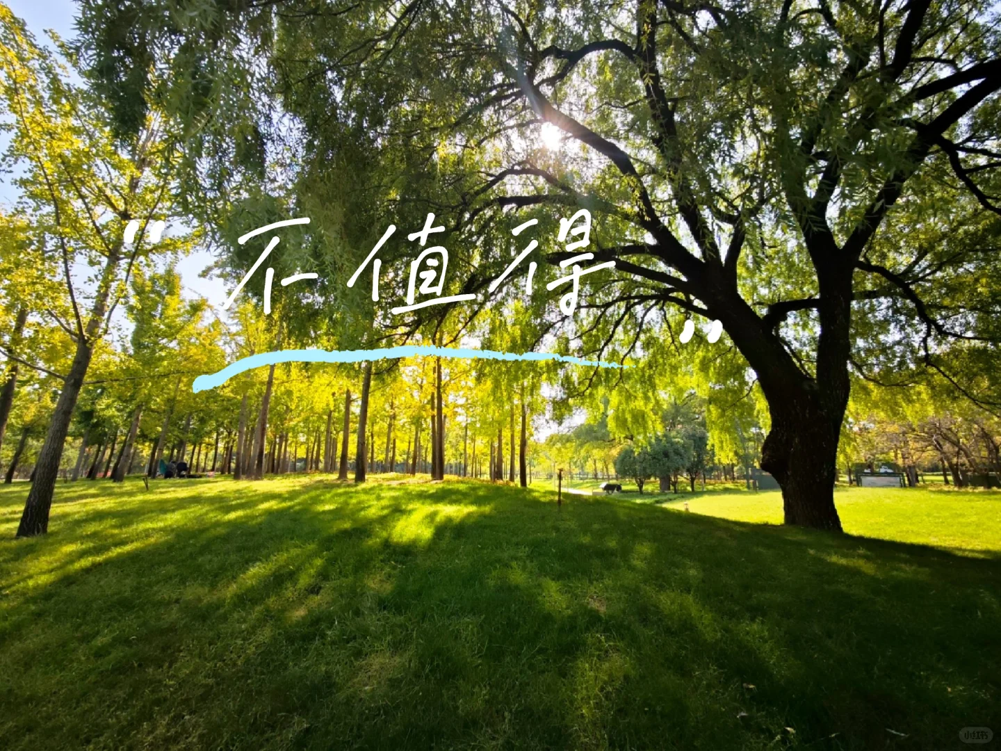一首好听的歌