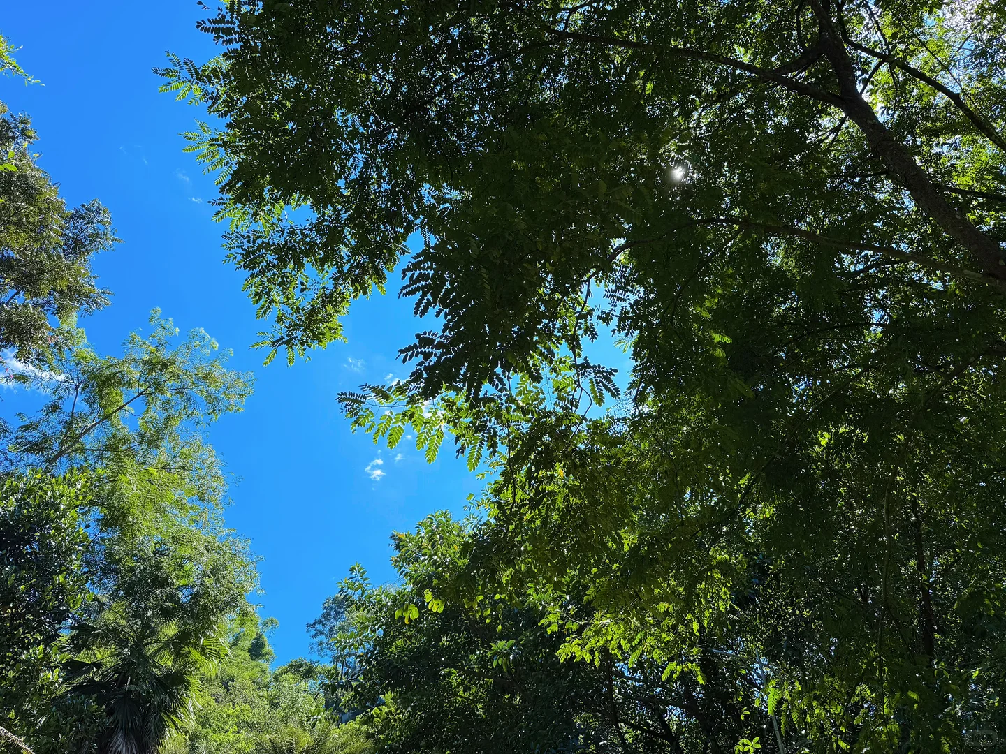 年纪越大越怀旧