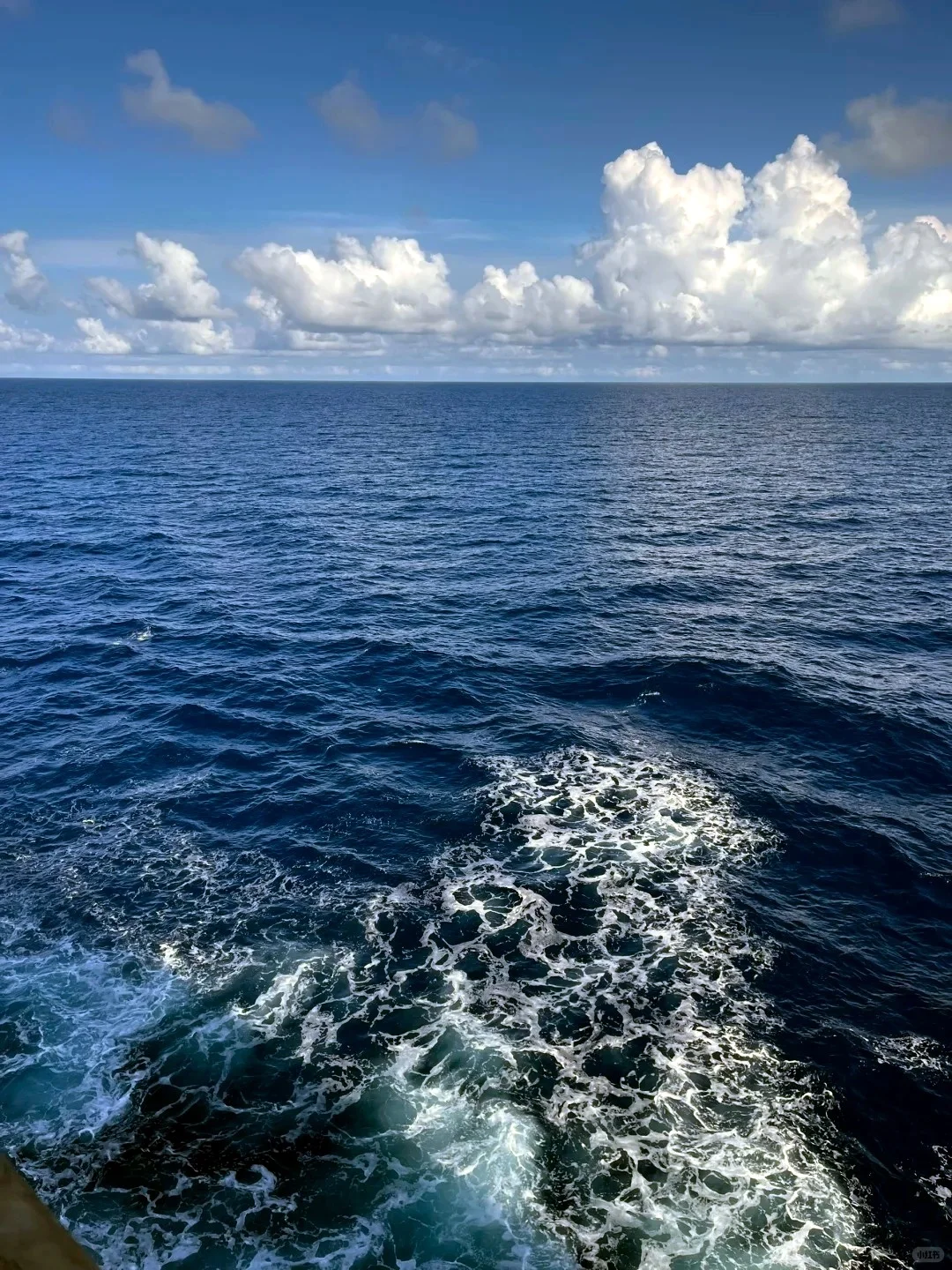 下船就想二刷！爱达地中海号太会玩了