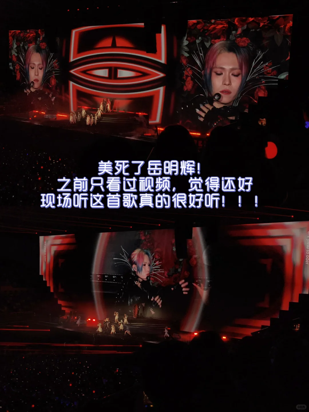 特别快乐的一天🥰