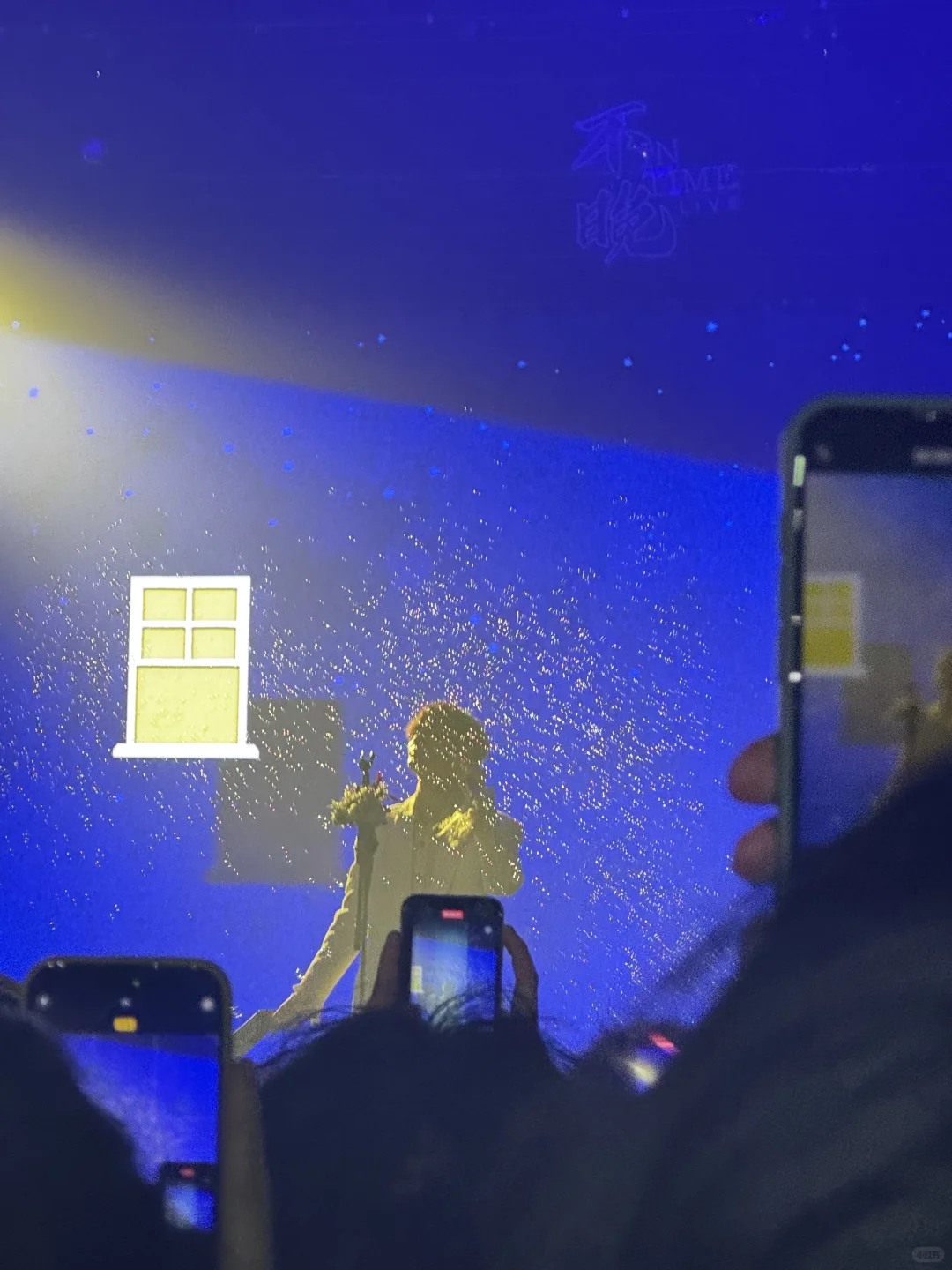 让我们一起说—谢谢裘德！