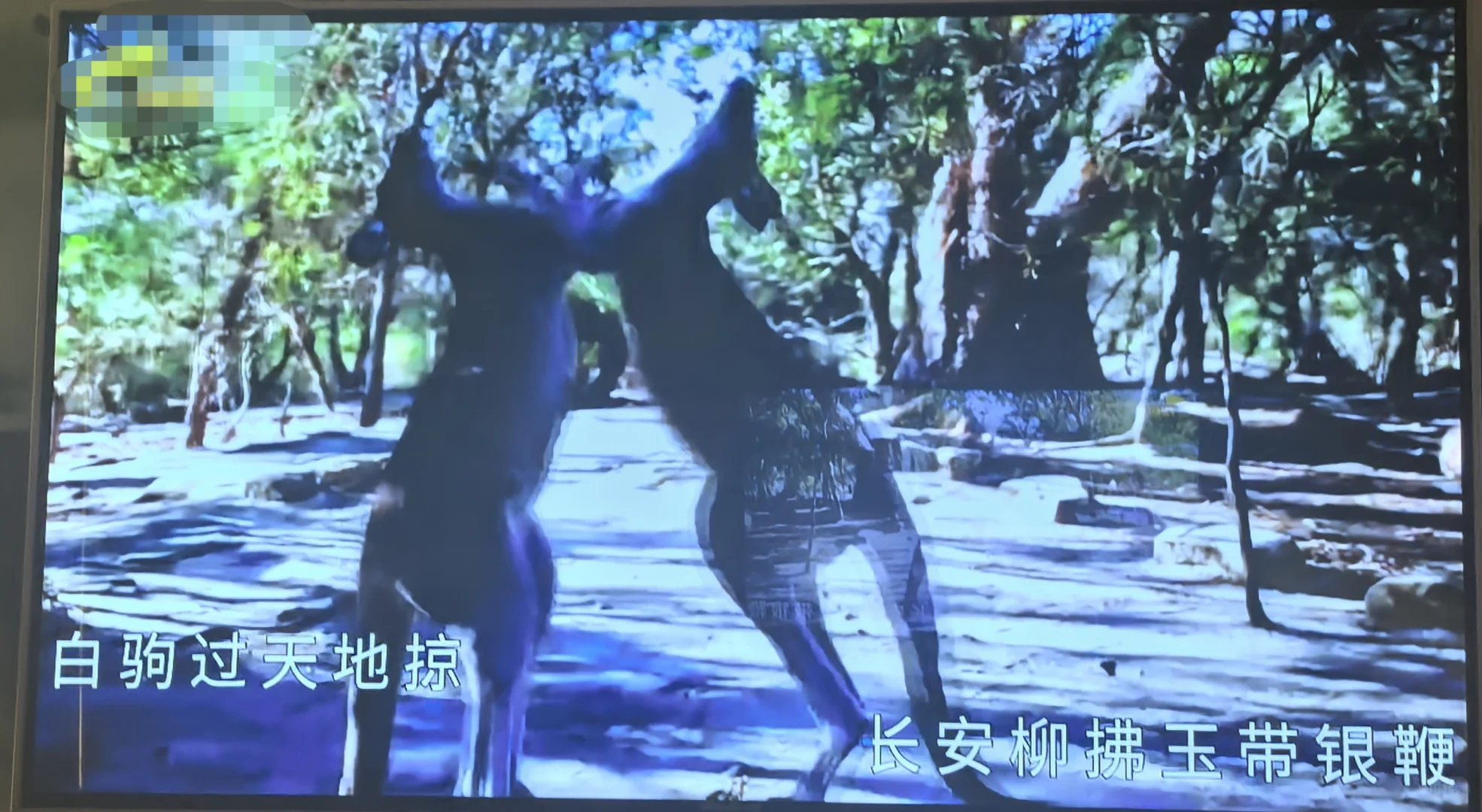 谁能来管管ktv的这些mv。。。。