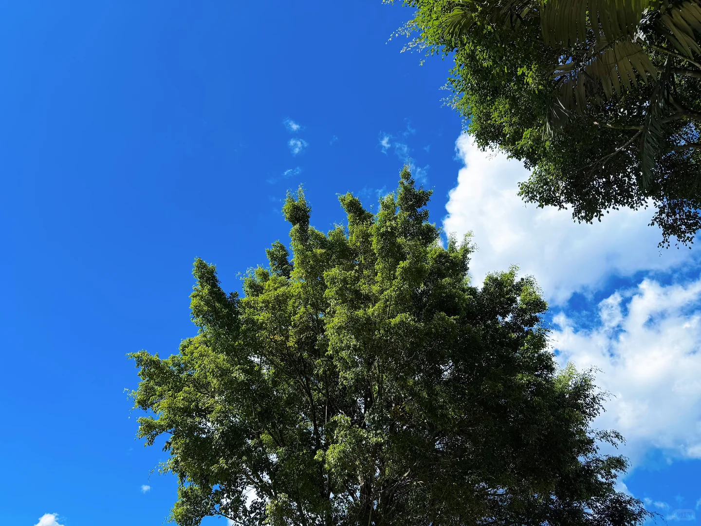 年纪越大越怀旧