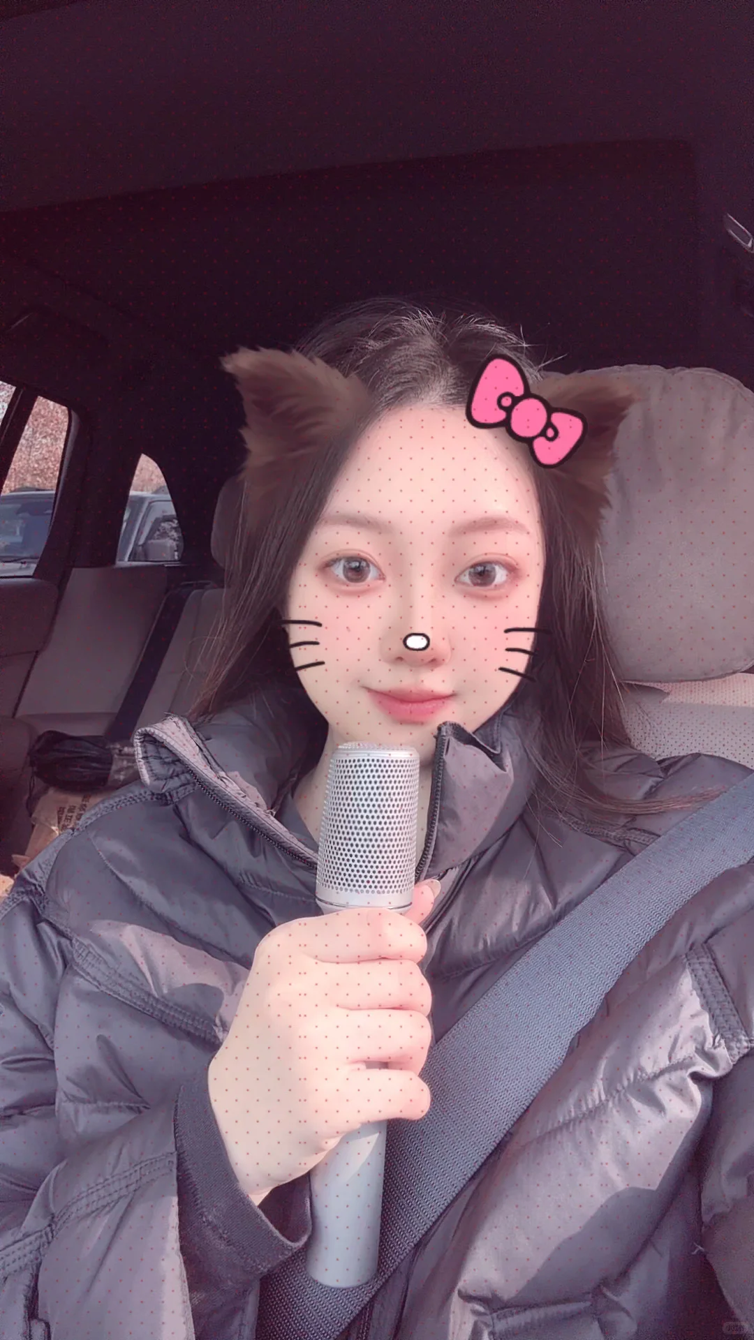 理想L7车载麦克风yyds！K歌自由拿捏了🎤