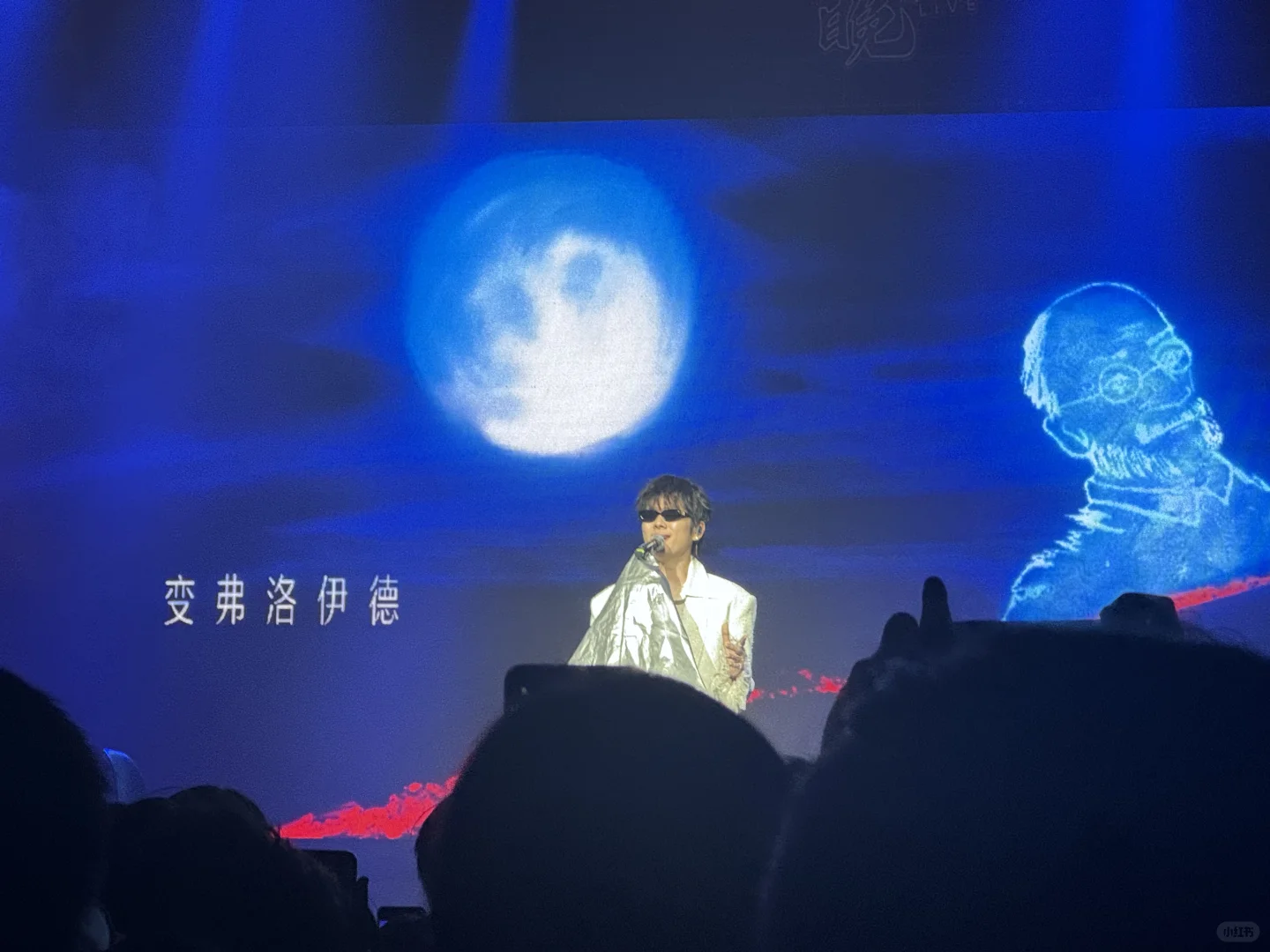 让我们一起说—谢谢裘德！