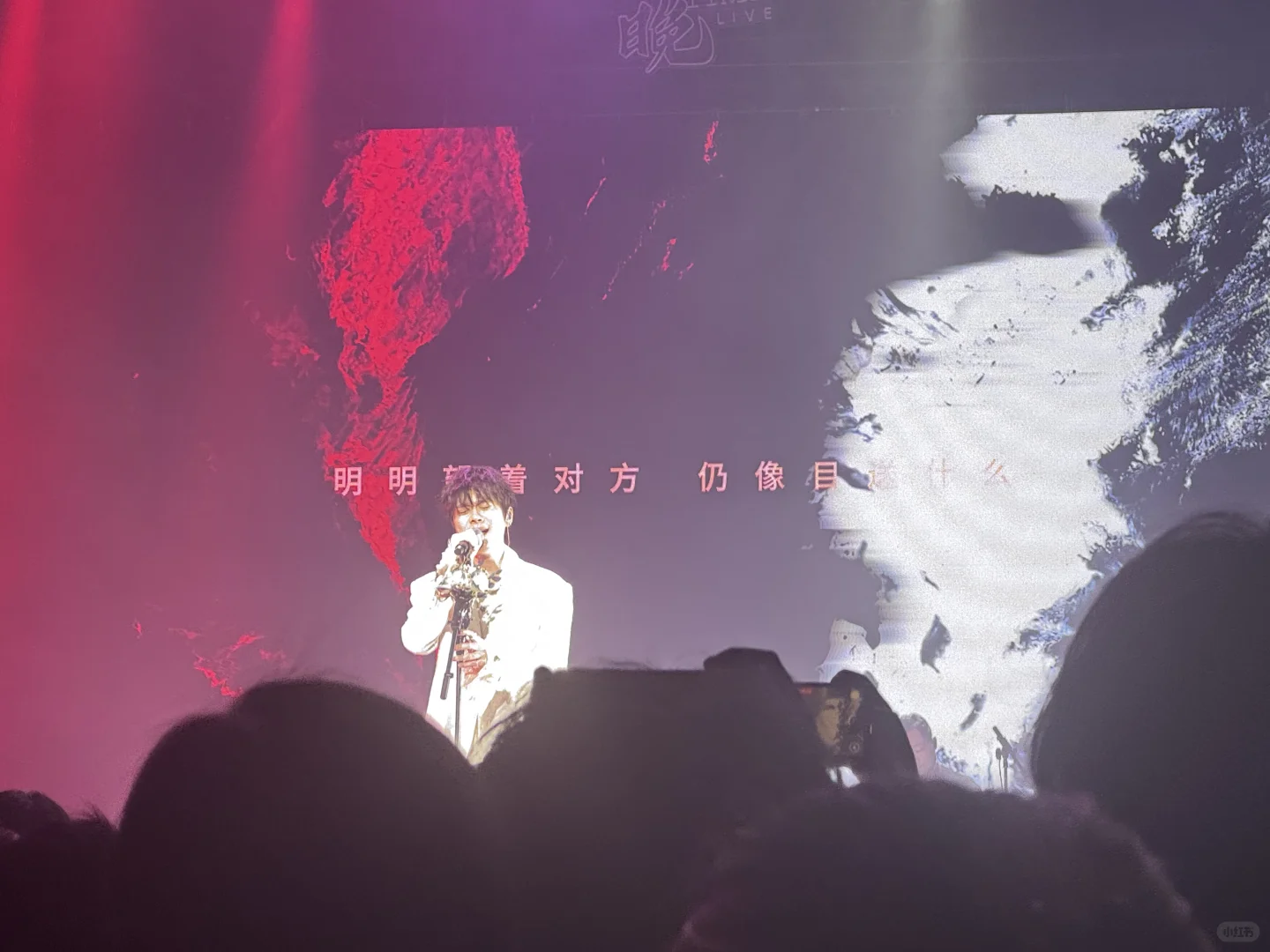 让我们一起说—谢谢裘德！