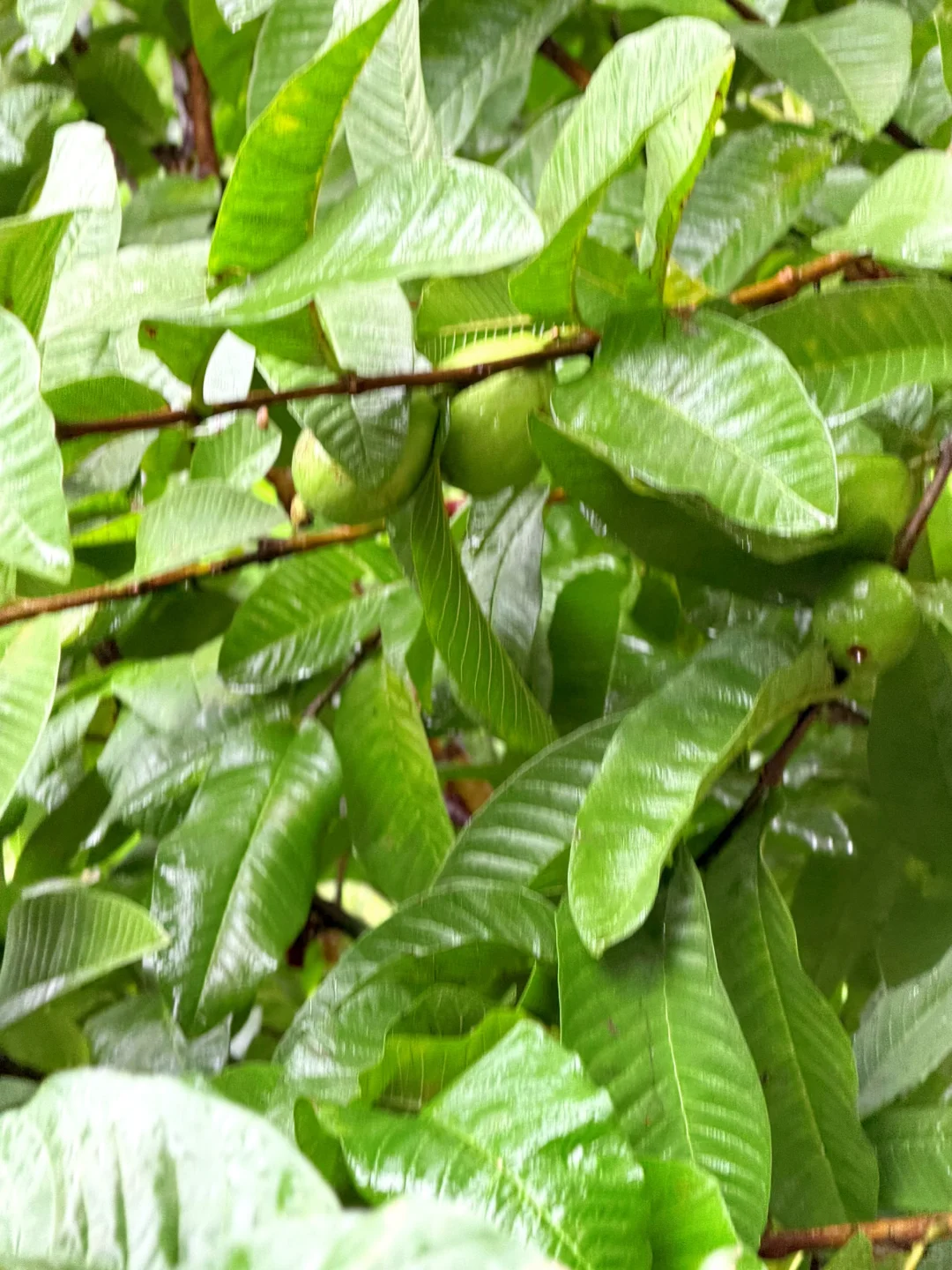 年纪越大越怀旧