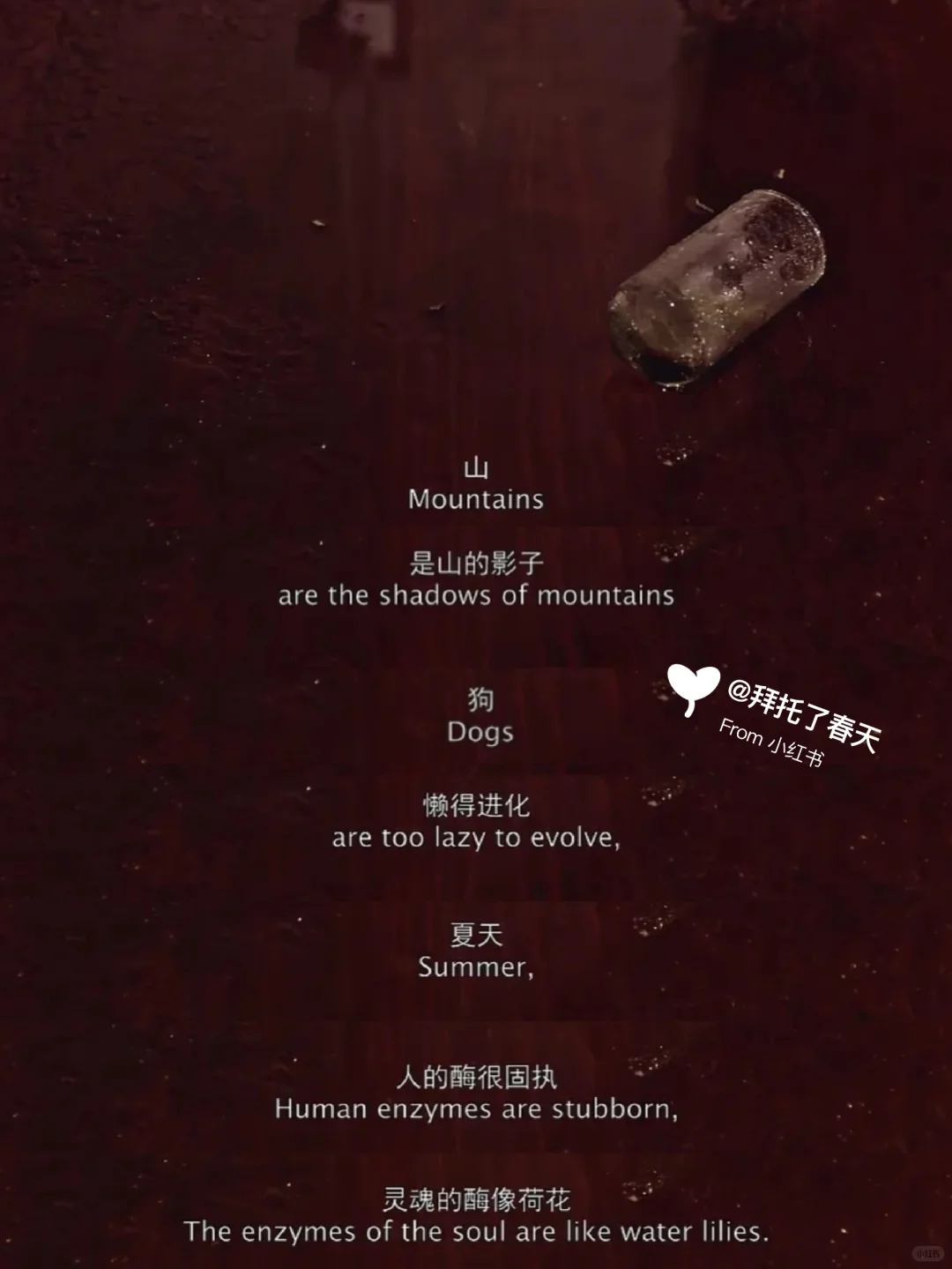 太绝了😭今年最爱的电影❗️❗️