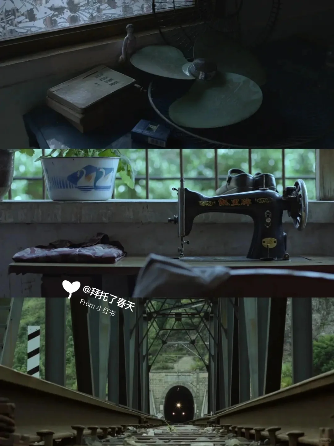 太绝了😭今年最爱的电影❗️❗️