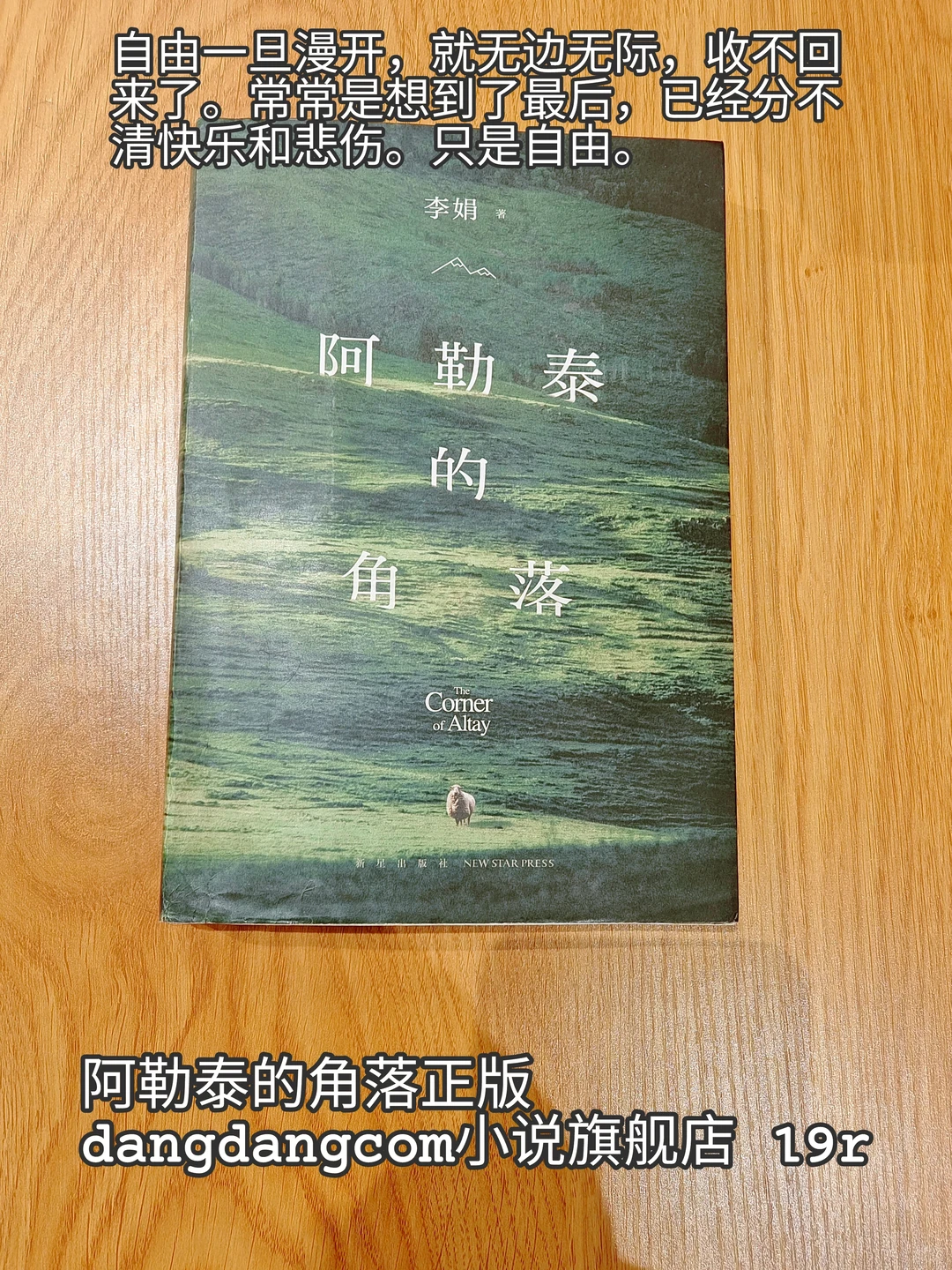 「深夜书单｜适合一个人静静翻阅的温柔读物