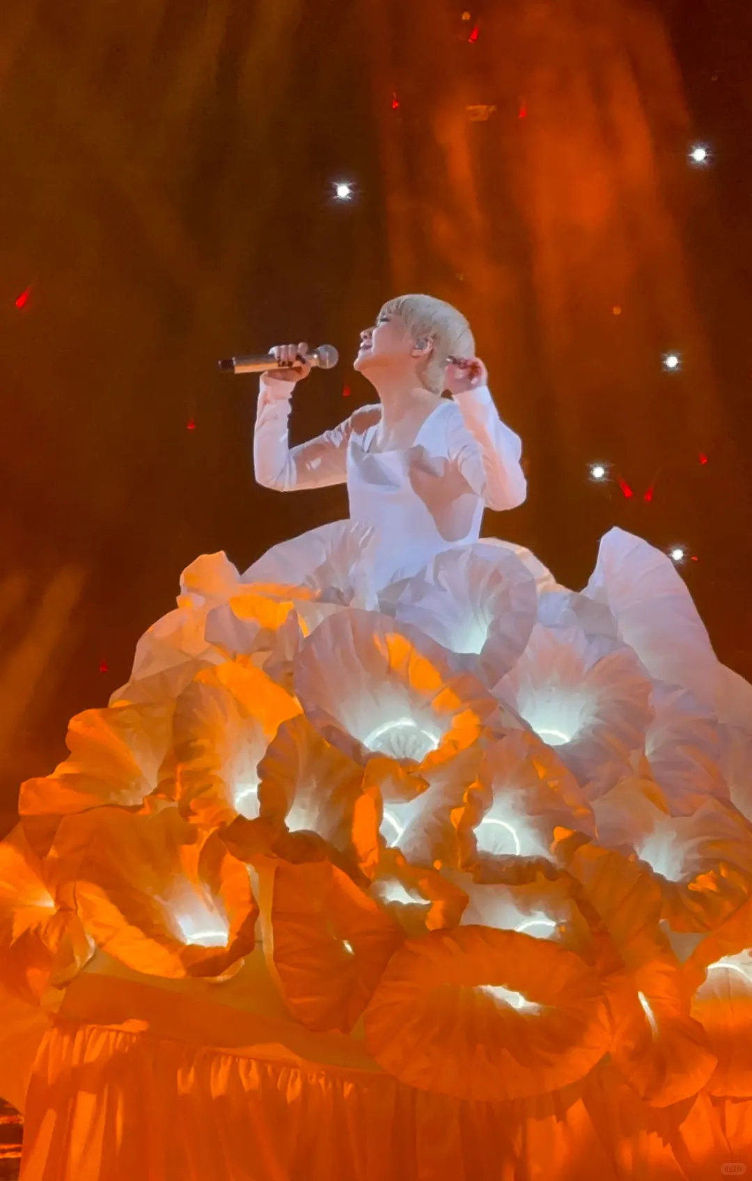 时光倒流 再续经典情缘