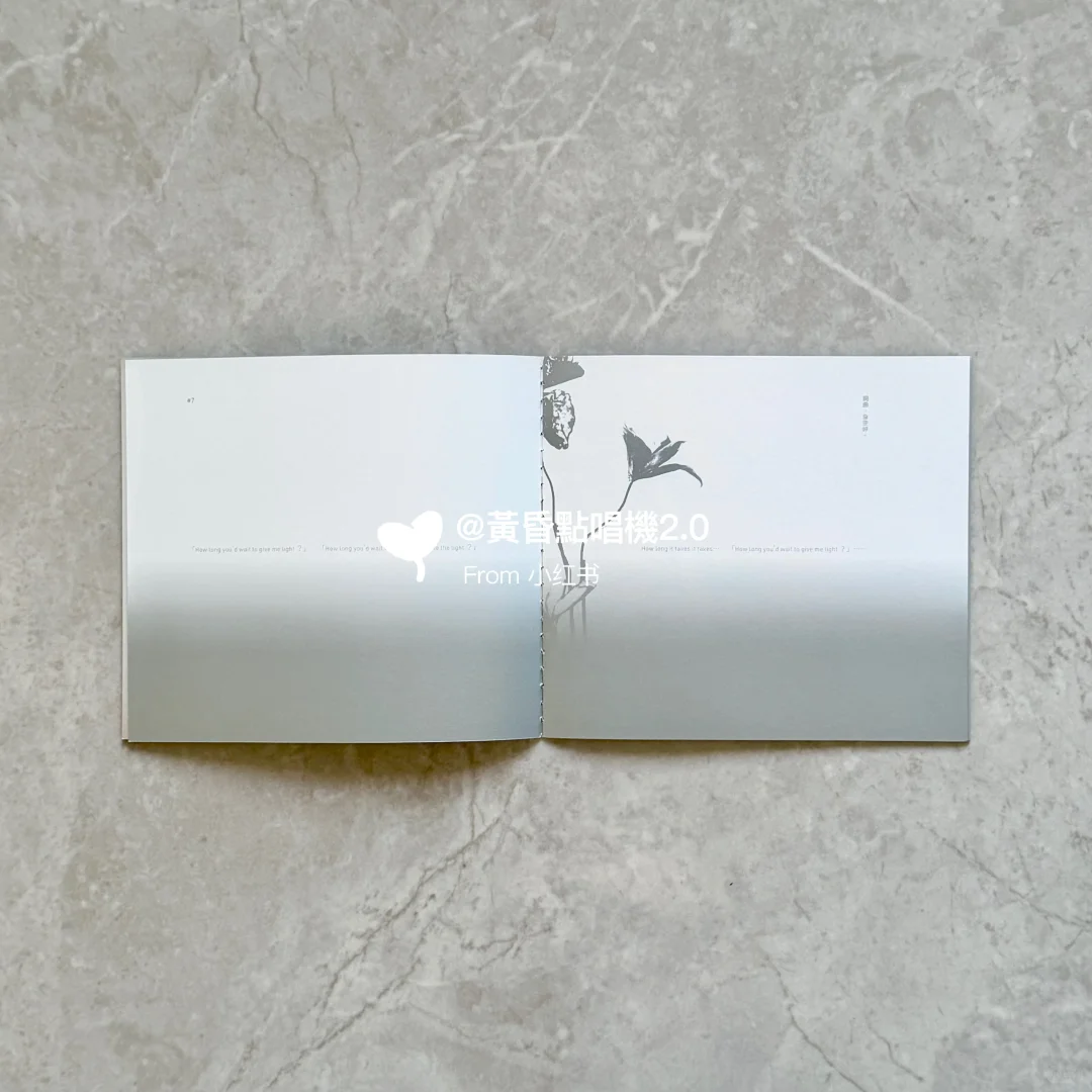 詹雯婷 | Faye詹雯婷在雲彩上跳舞嘰嘰喳喳