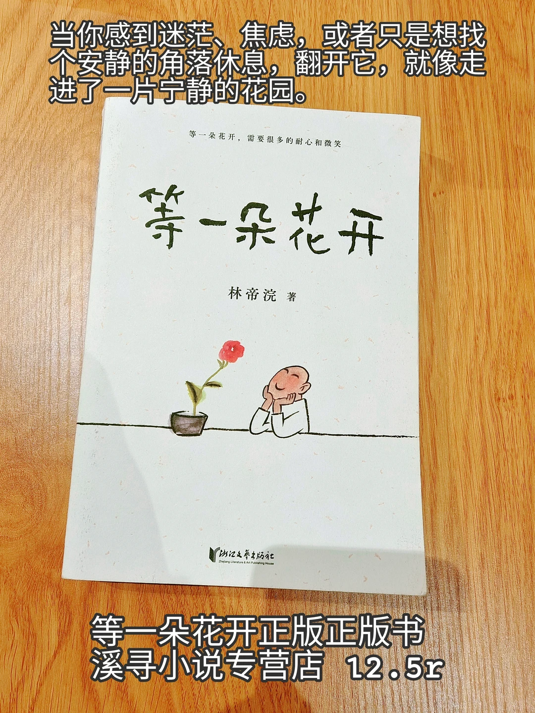 「深夜书单｜适合一个人静静翻阅的温柔读物