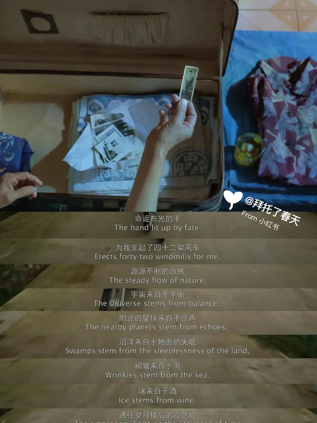 太绝了😭今年最爱的电影❗️❗️