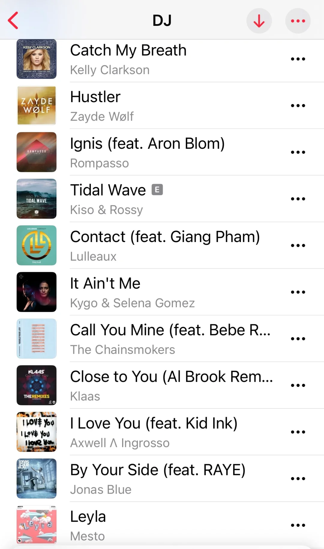 我的宝藏DJ歌单