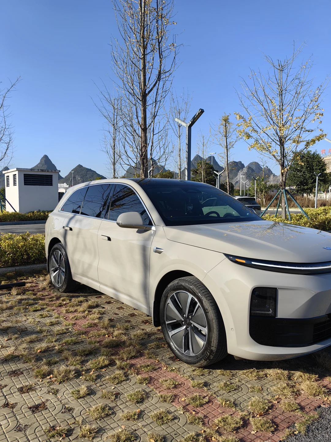 理想同学戴头上，Livis提前现身？