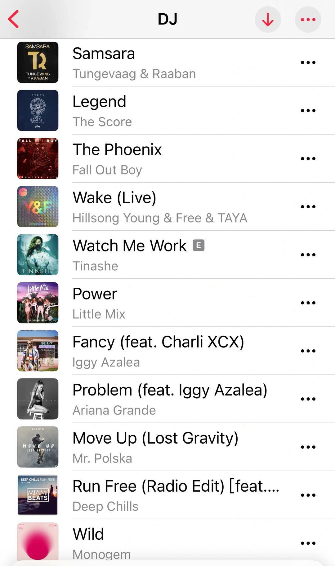 我的宝藏DJ歌单
