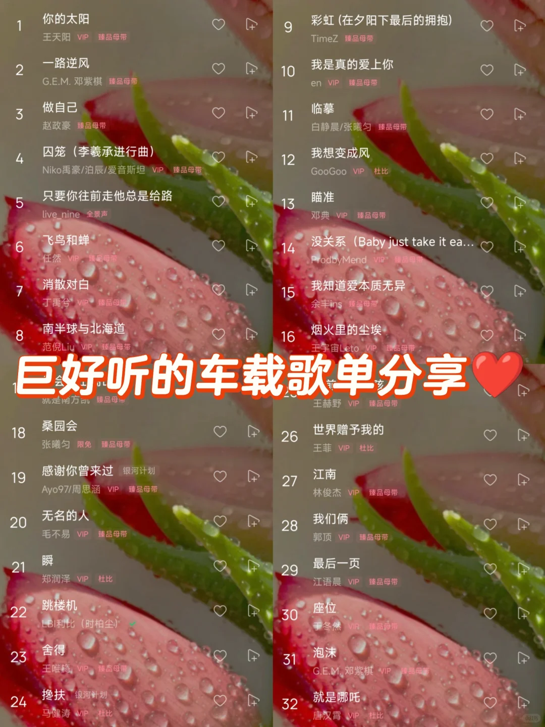 歌单分享 I 听劝!这个开车歌单真的绝绝子
