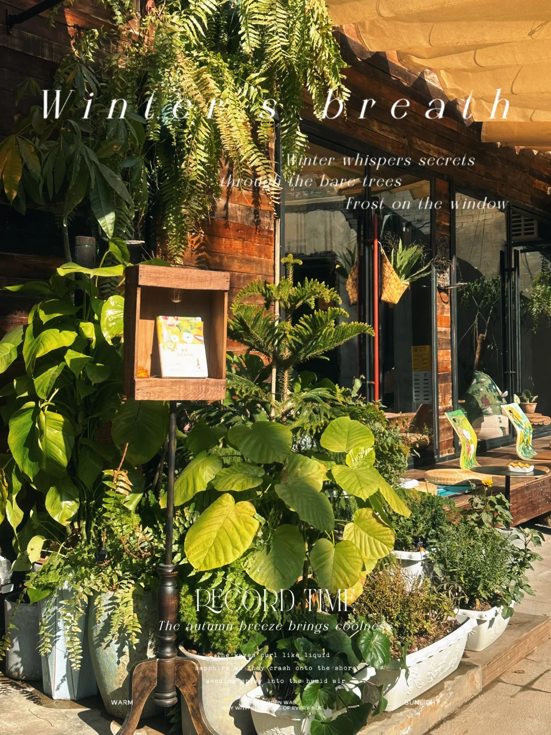 周末活动 | 咖啡馆里的客厅民谣音乐会