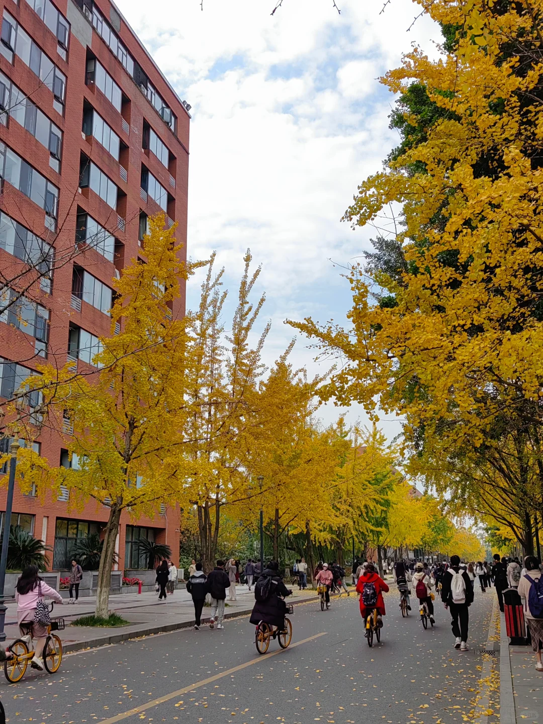 好久没有认真想起你了