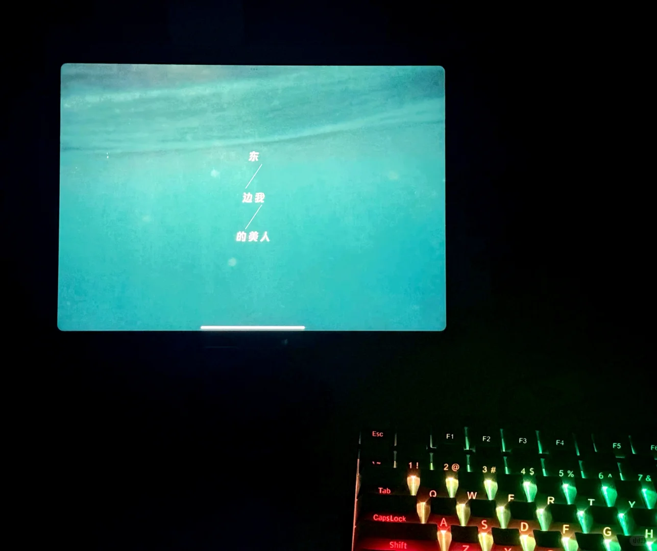 胡彦斌确实爱美人