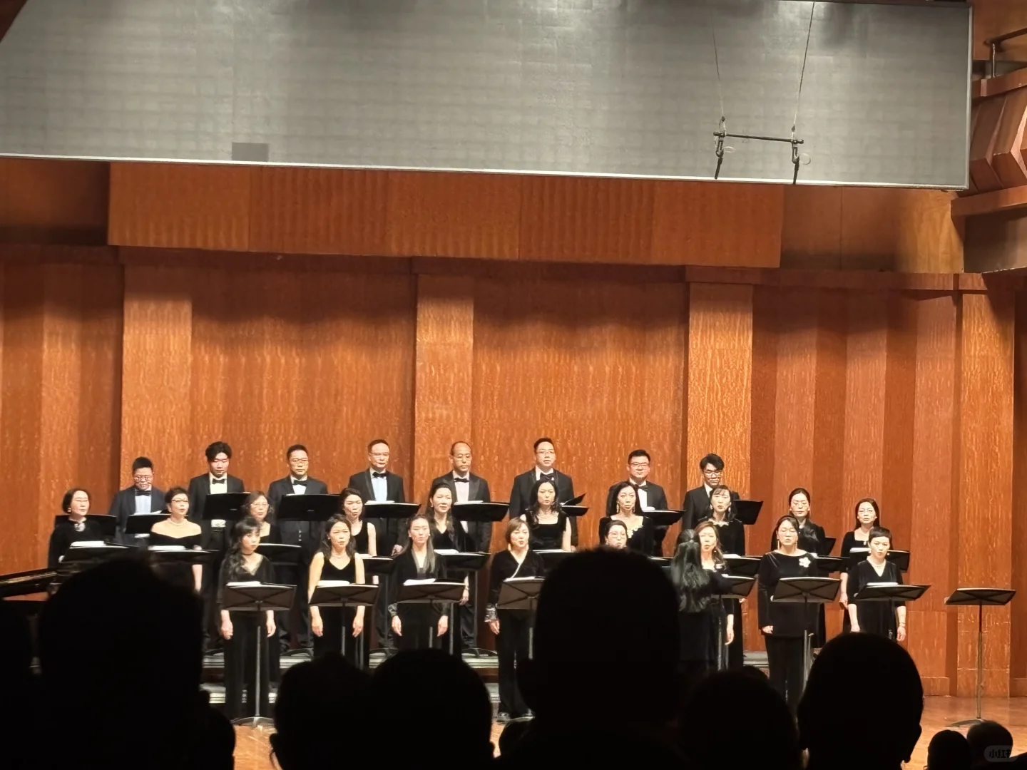 “我歌唱的理由有很多”中欧红枫合唱团音乐会