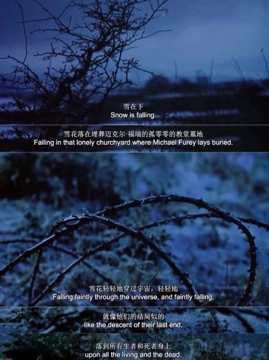 美的想哭😭西方文学史上最有名的一场雪!