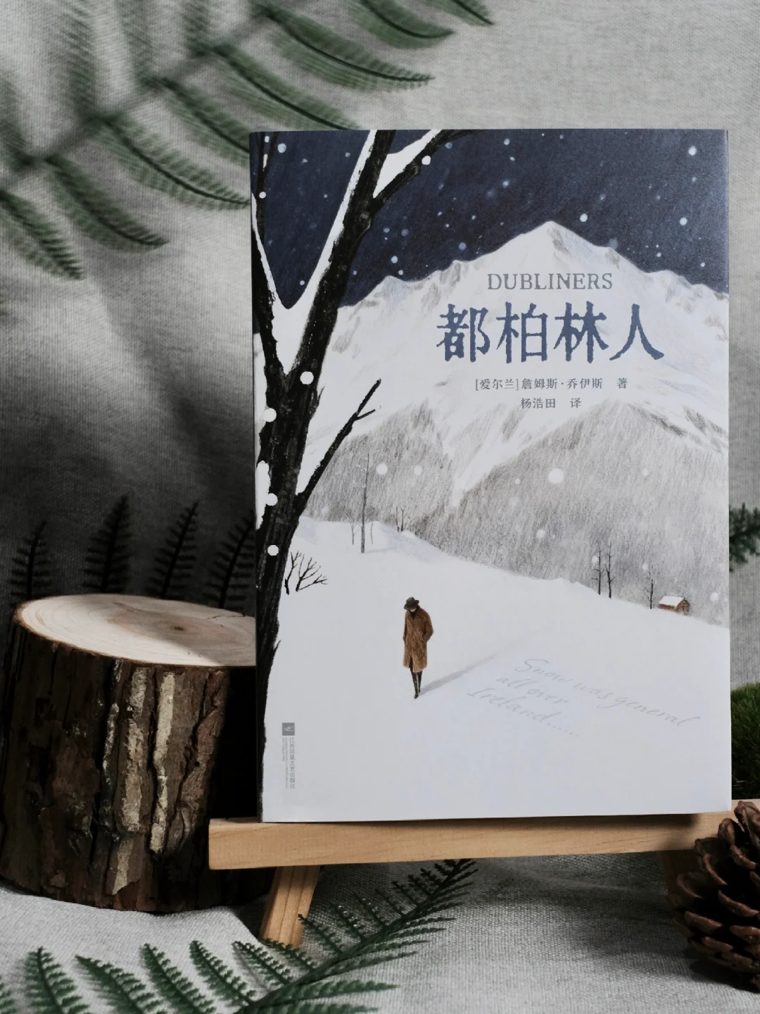 美的想哭😭西方文学史上最有名的一场雪！